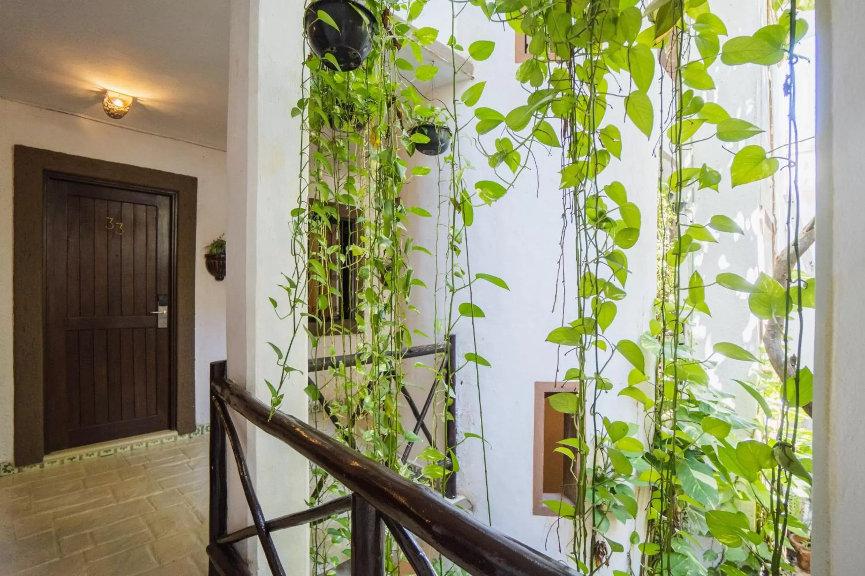 Garden, Balcony/Terrace in Posada Mariposa Boutique Hotel - 5th Avenue