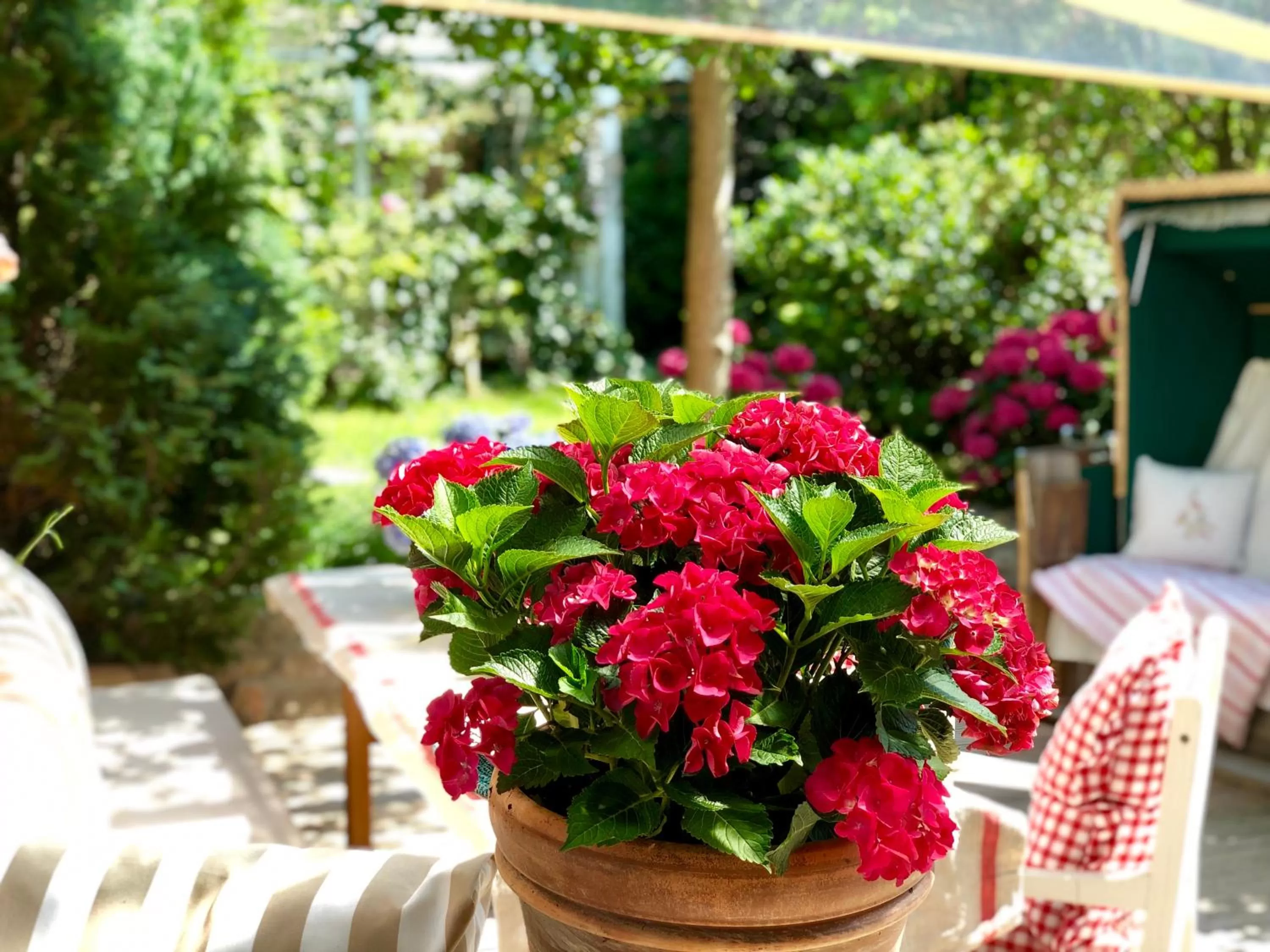Balcony/Terrace in Weißt Du noch - Gästehäuser & Suiten