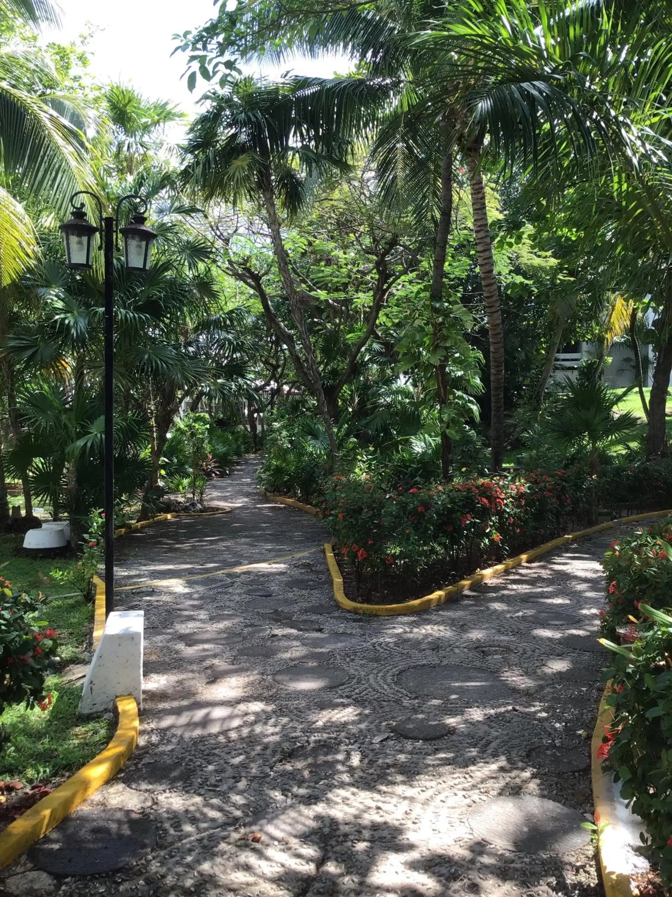 Garden in Hotel Maya Caribe Faranda Cancún