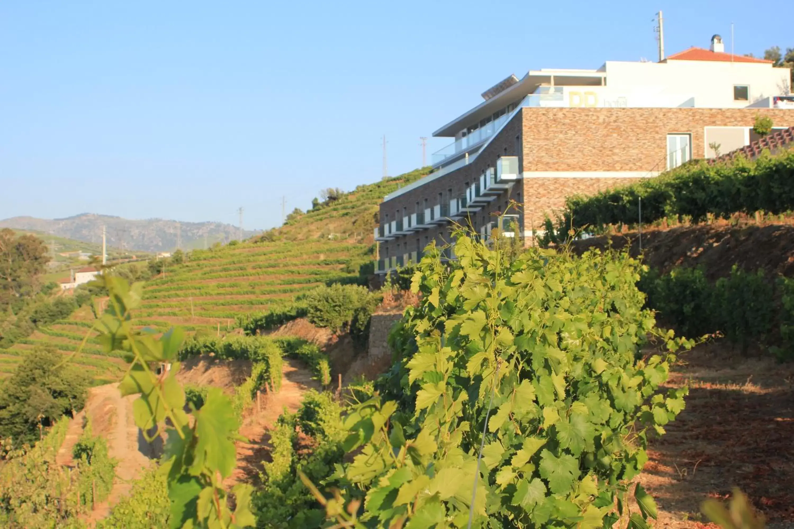 Facade/entrance, Property Building in Delfim Douro Hotel