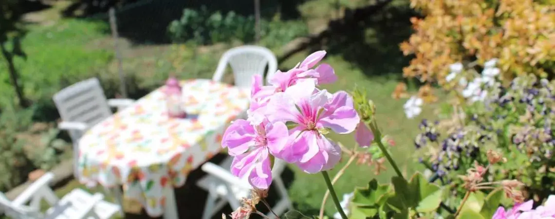 Garden in B&B Via Roma