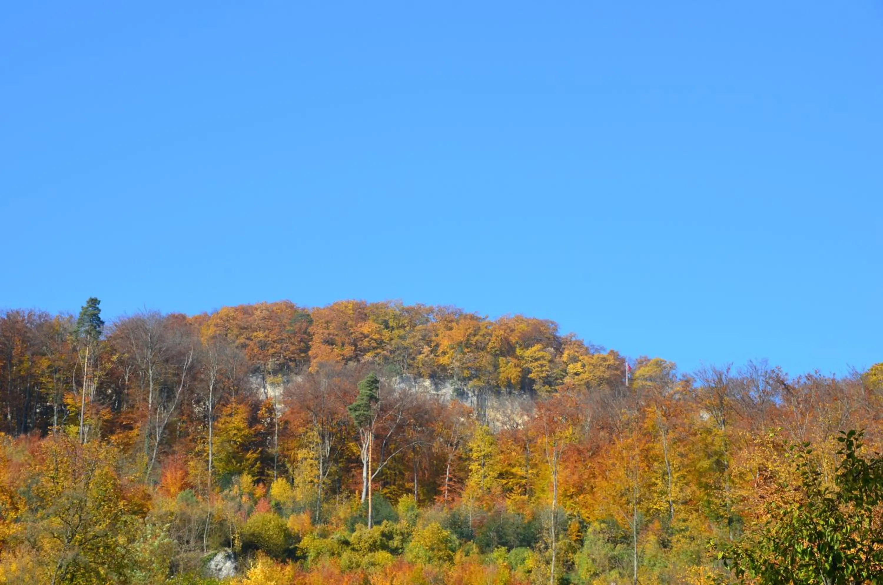 Day in Bad Schauenburg