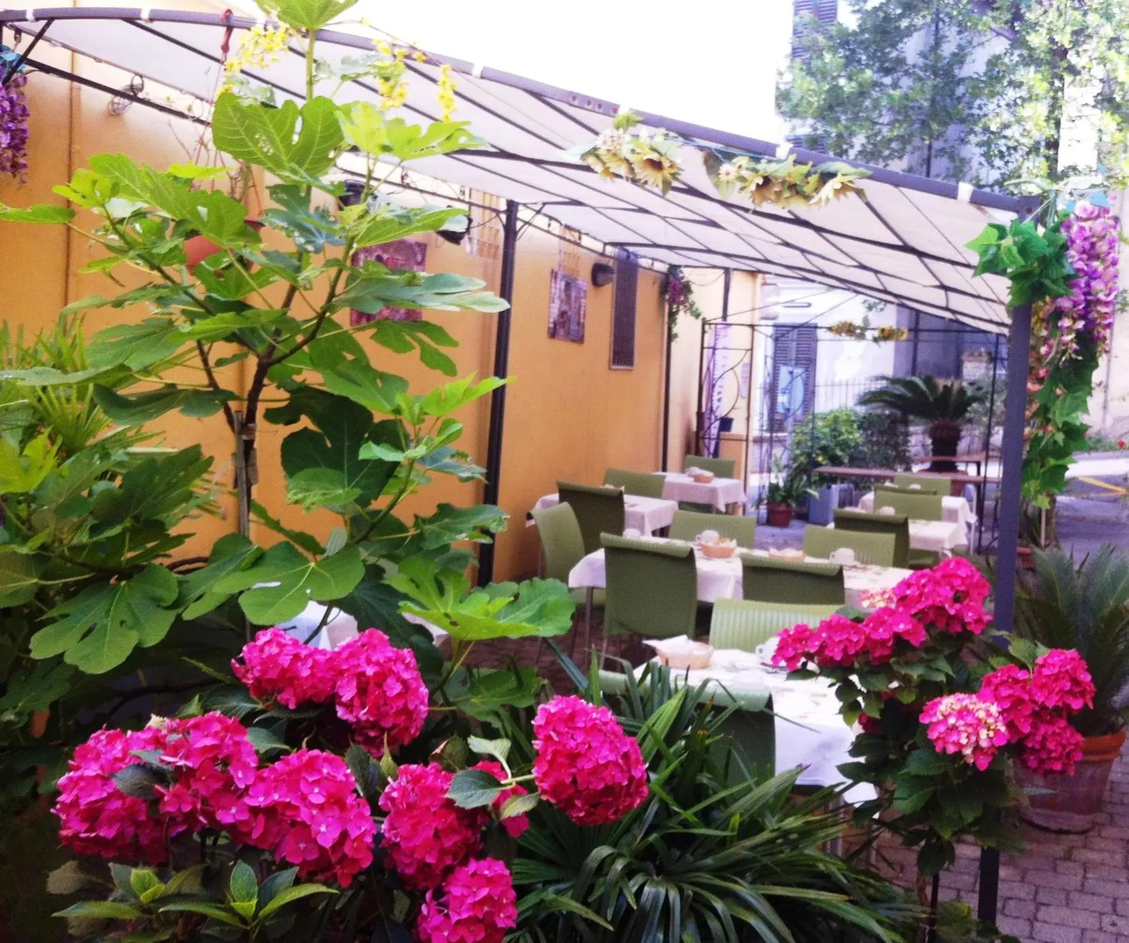 Patio in Albergo Natucci