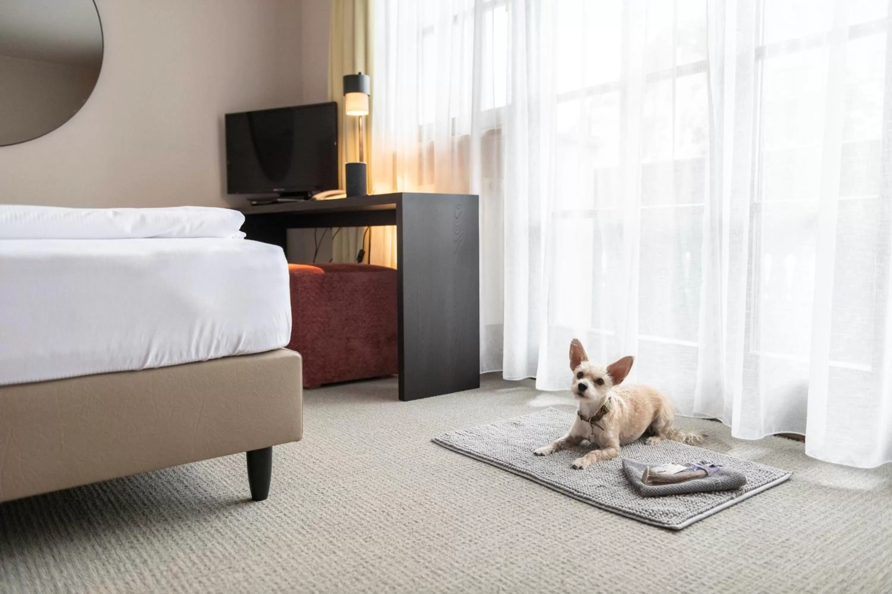 Photo of the whole room, Bed in Hotel Jakob