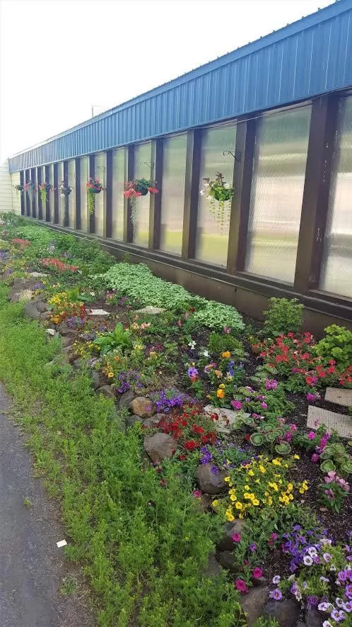 Swimming pool in Chena Hot Springs Resort