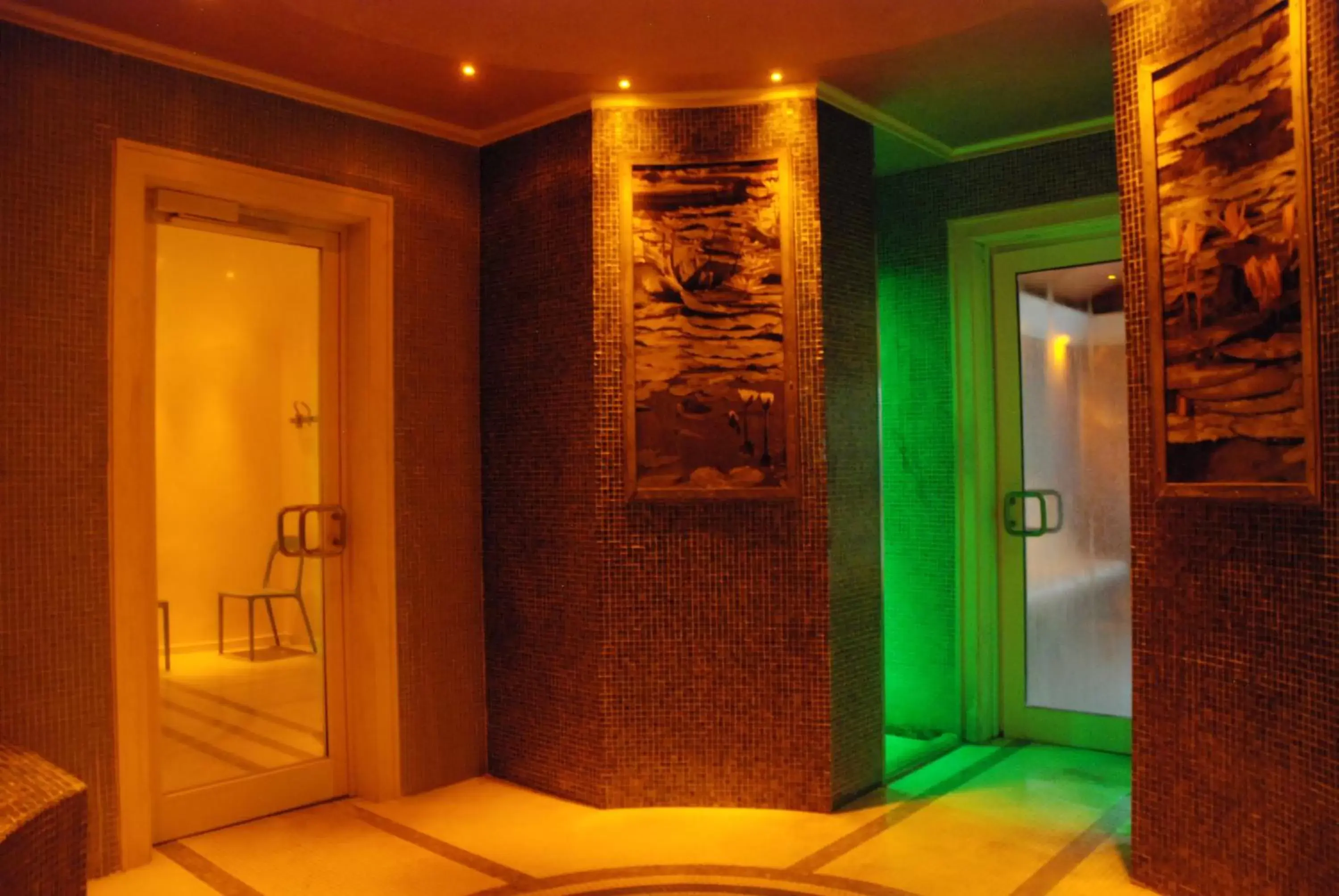 Spa and wellness centre/facilities, Bathroom in Hotel Terme Millepini