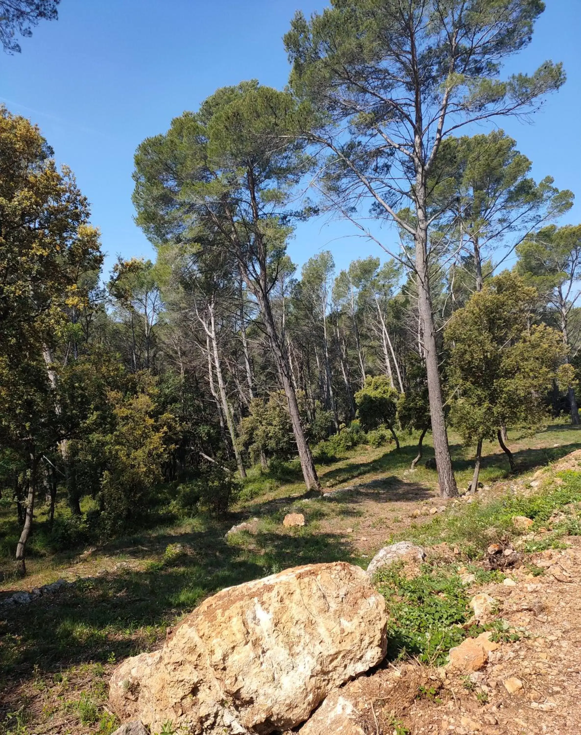 Neighbourhood in Les Hauts du Peireguier