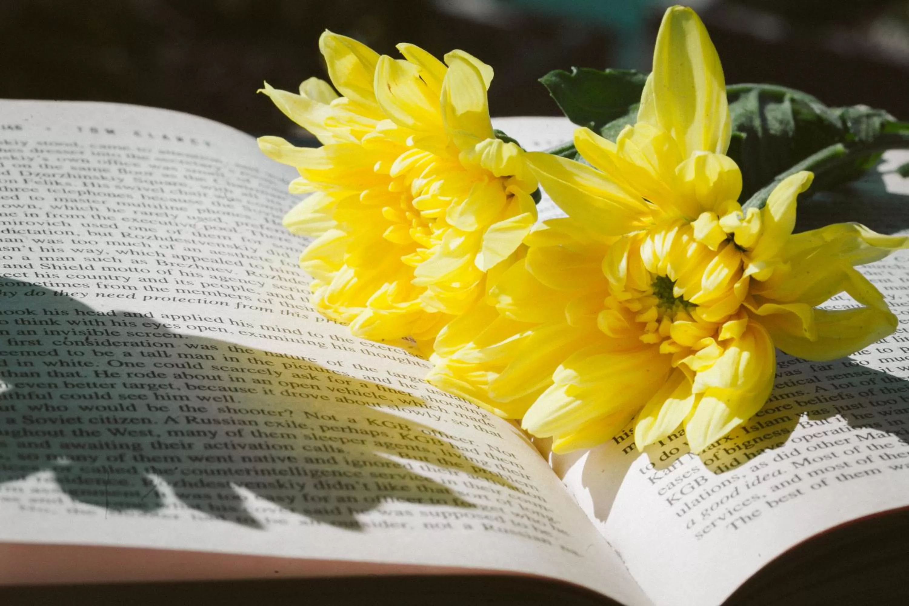 Library in Athens Cypria Hotel