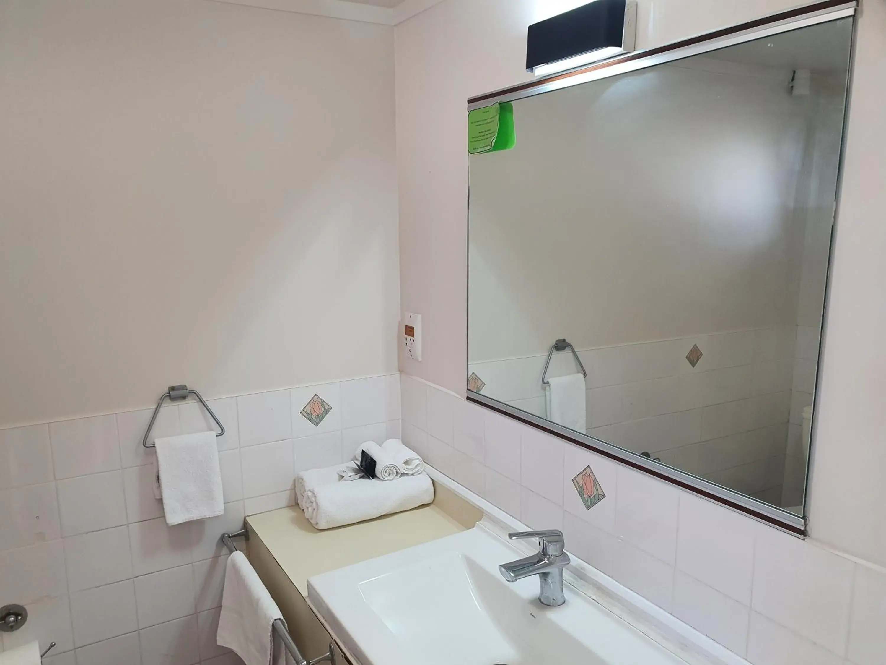 Shower, Bathroom in Ascot Epsom Motel