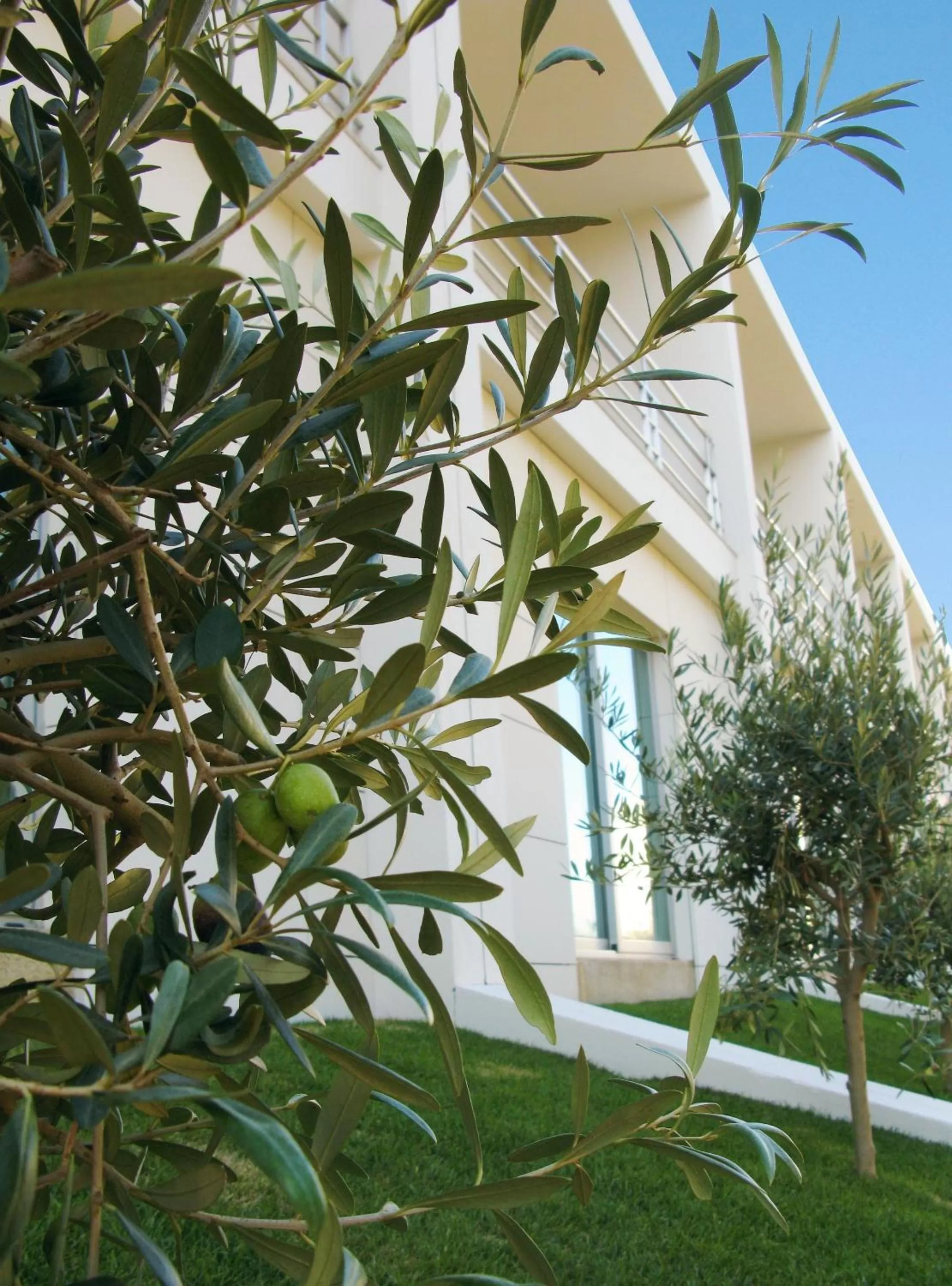 Property building in OPOHOTEL Porto Aeroporto