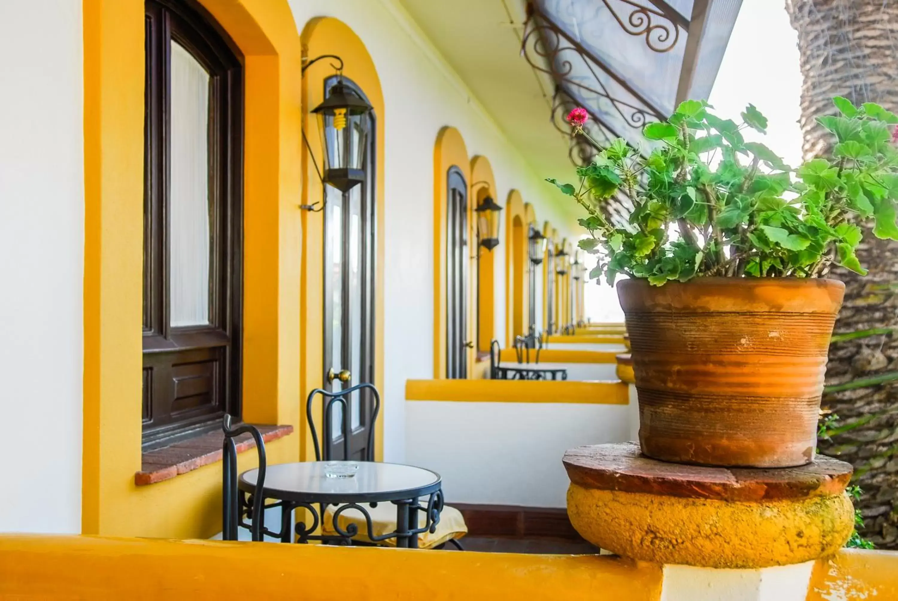Balcony/Terrace in Hotel Hacienda Los Laureles