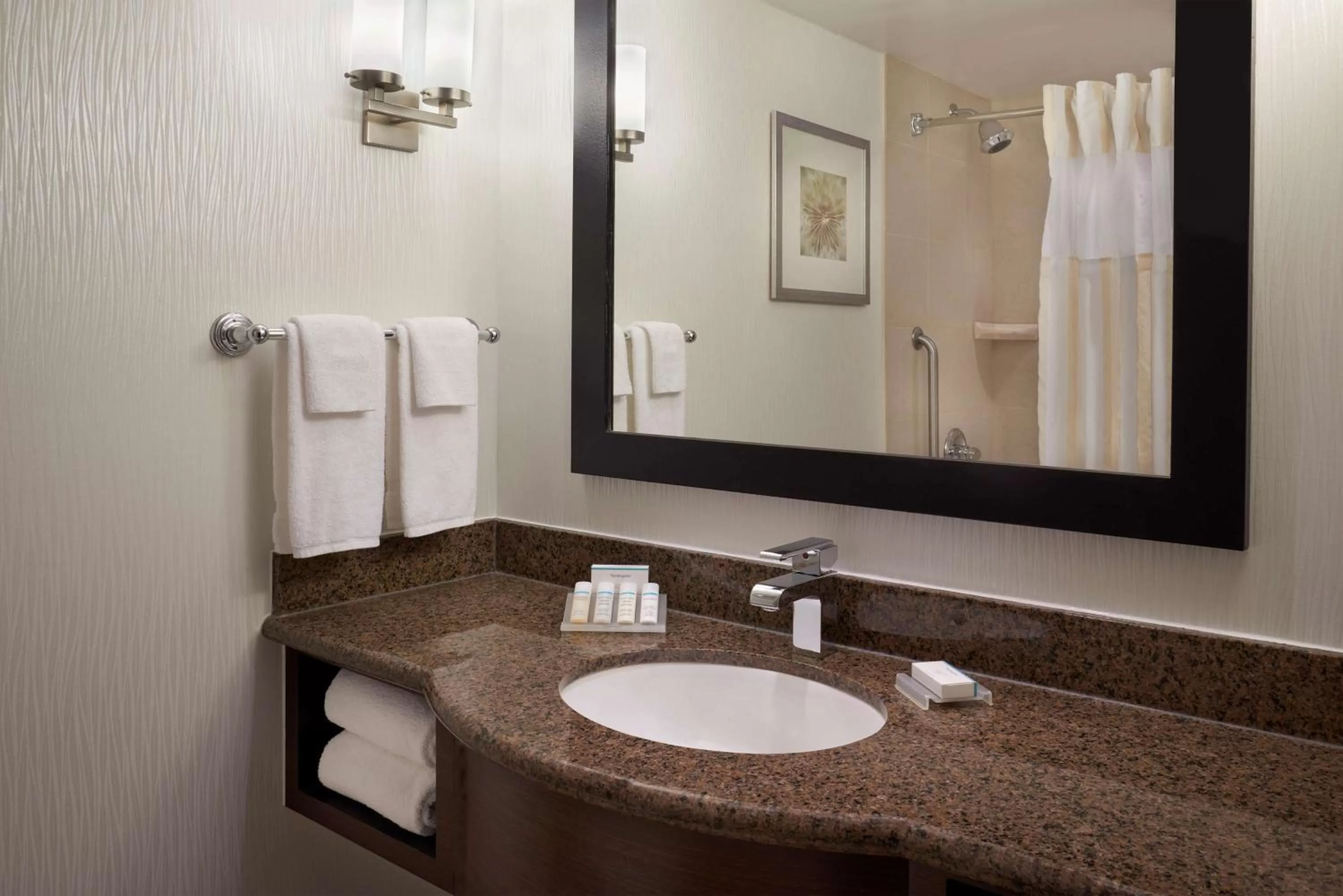 Bathroom in Hilton Garden Inn Toronto Airport West/Mississauga