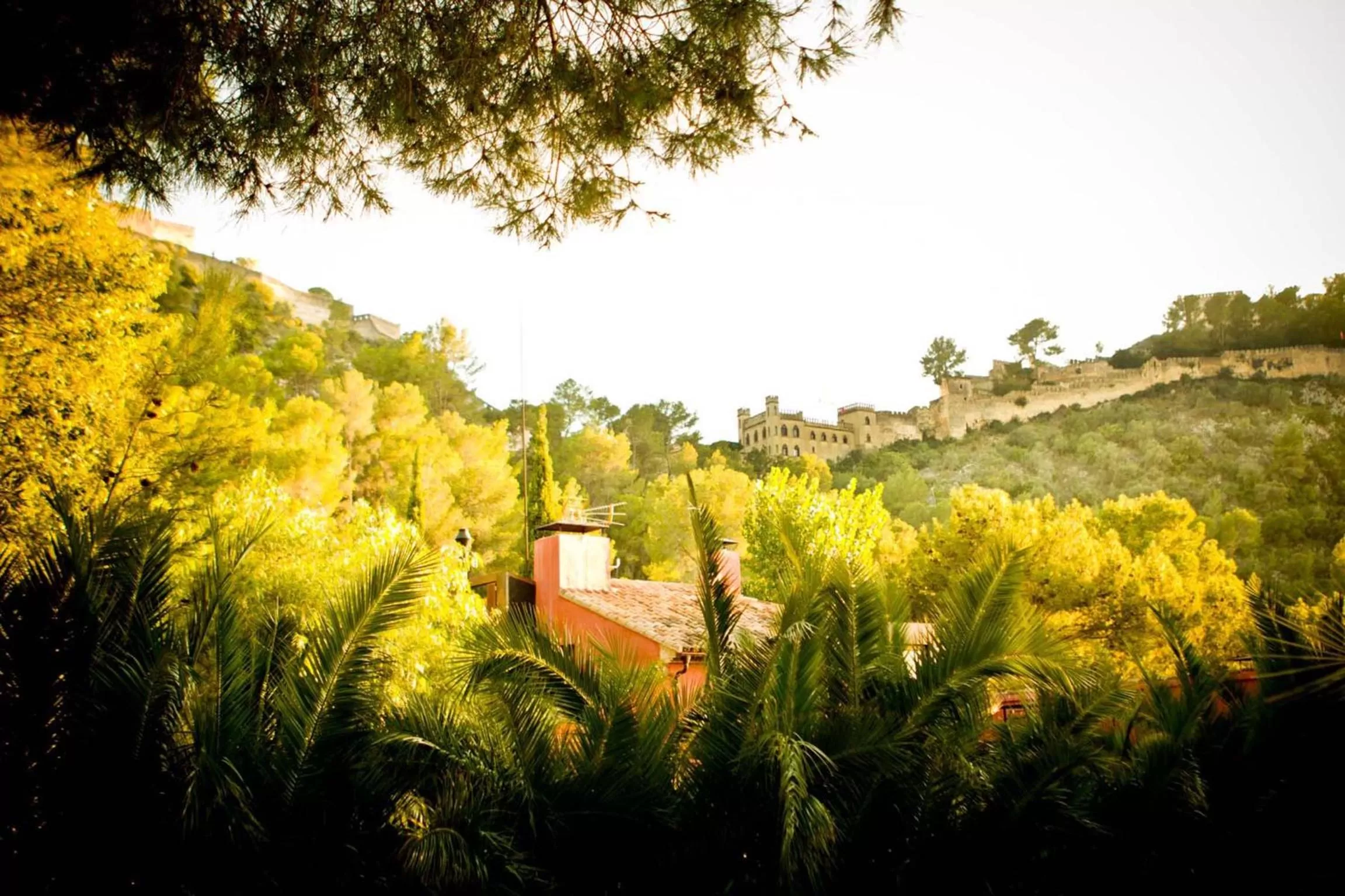 City view in Mont-Sant