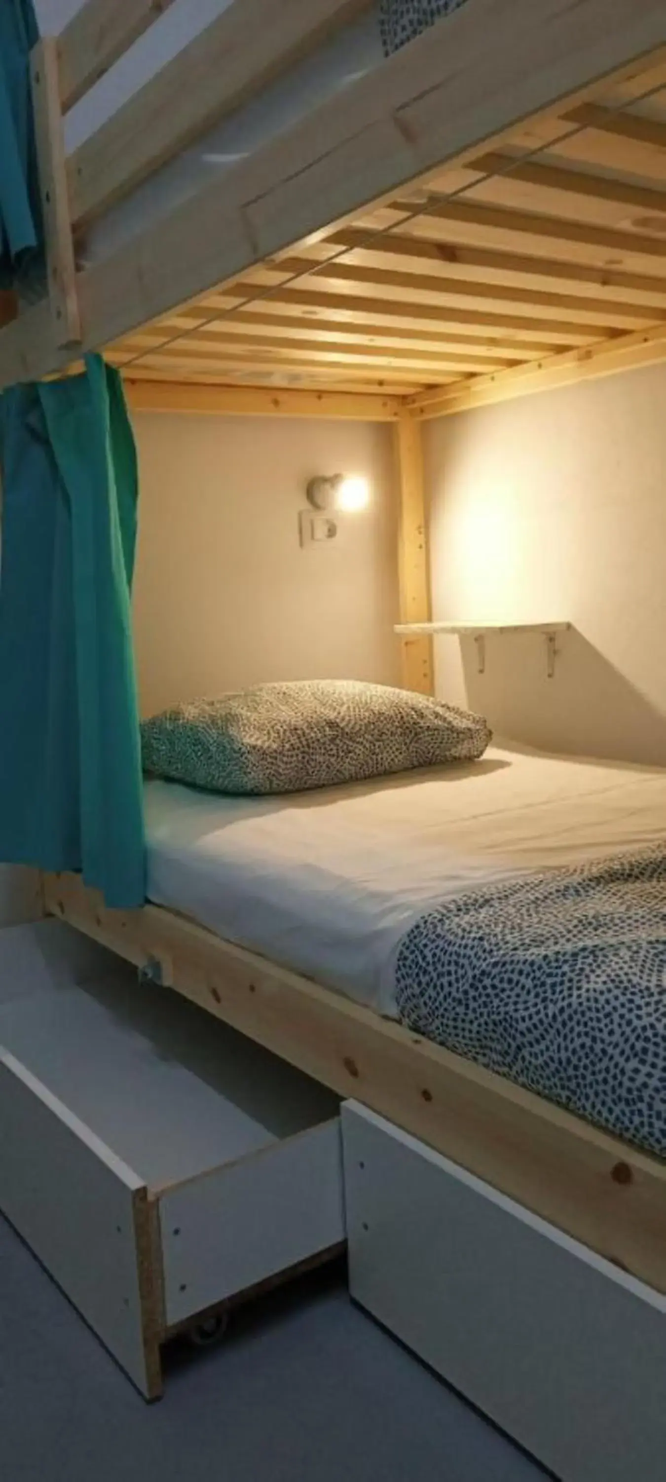 bunk bed, Bed in Arena Nest Hostel