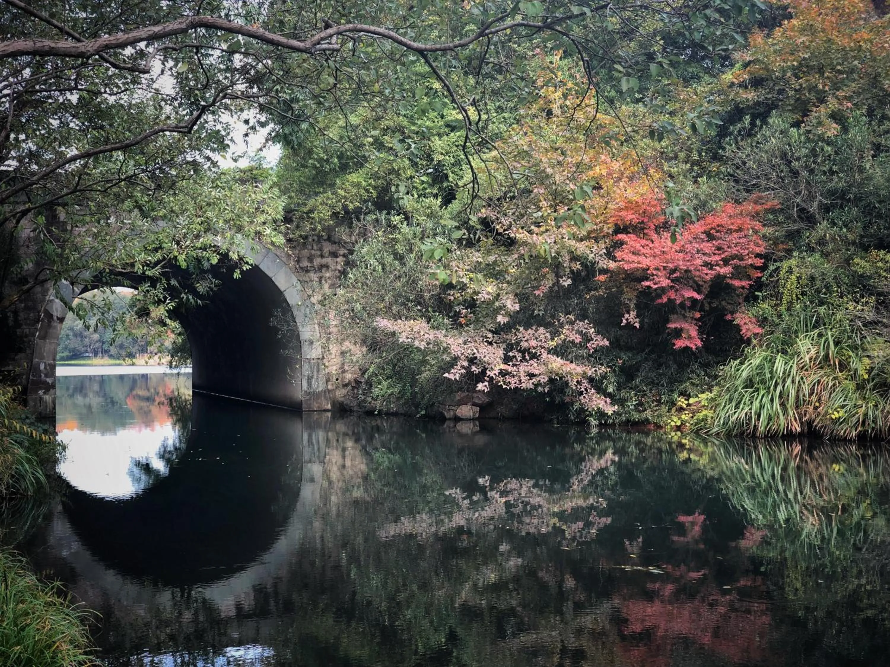 Natural landscape in Rock&Wood Cozy House