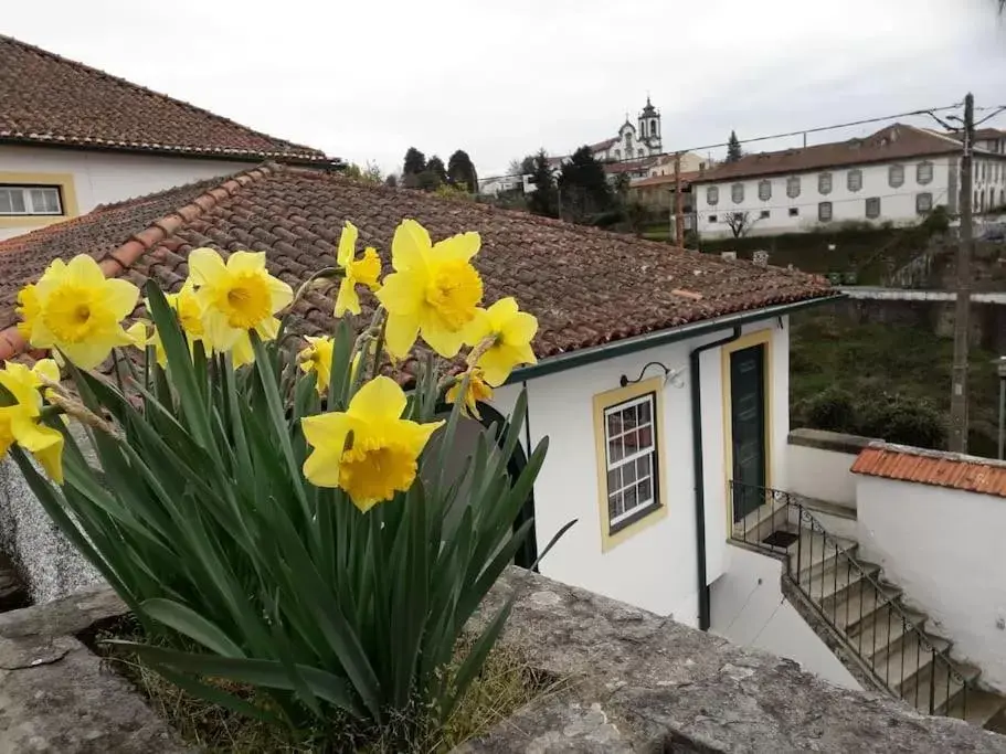 Garden, Property Building in Casa da Ponte, Coja