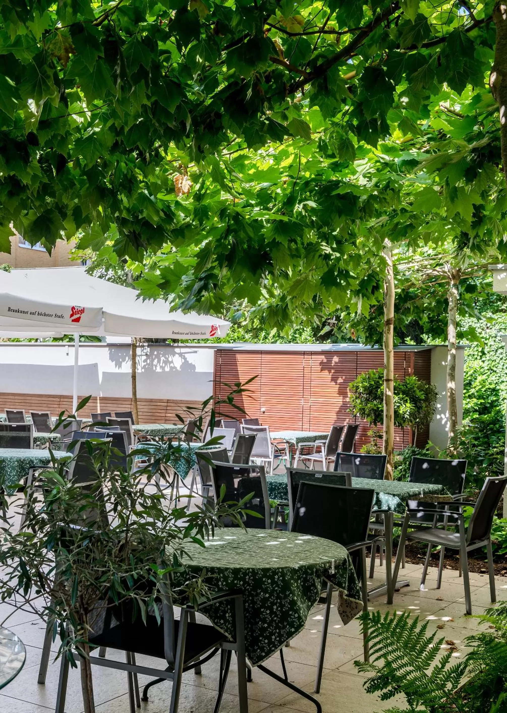 Property building in IMLAUER HOTEL PITTER Salzburg