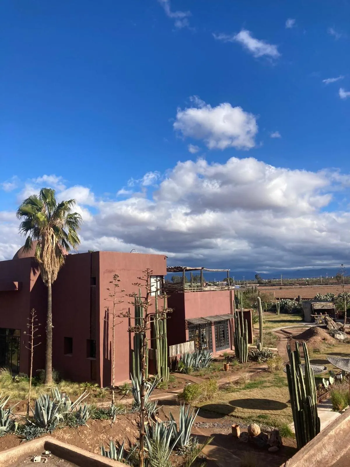 Garden in Fellah Hotel