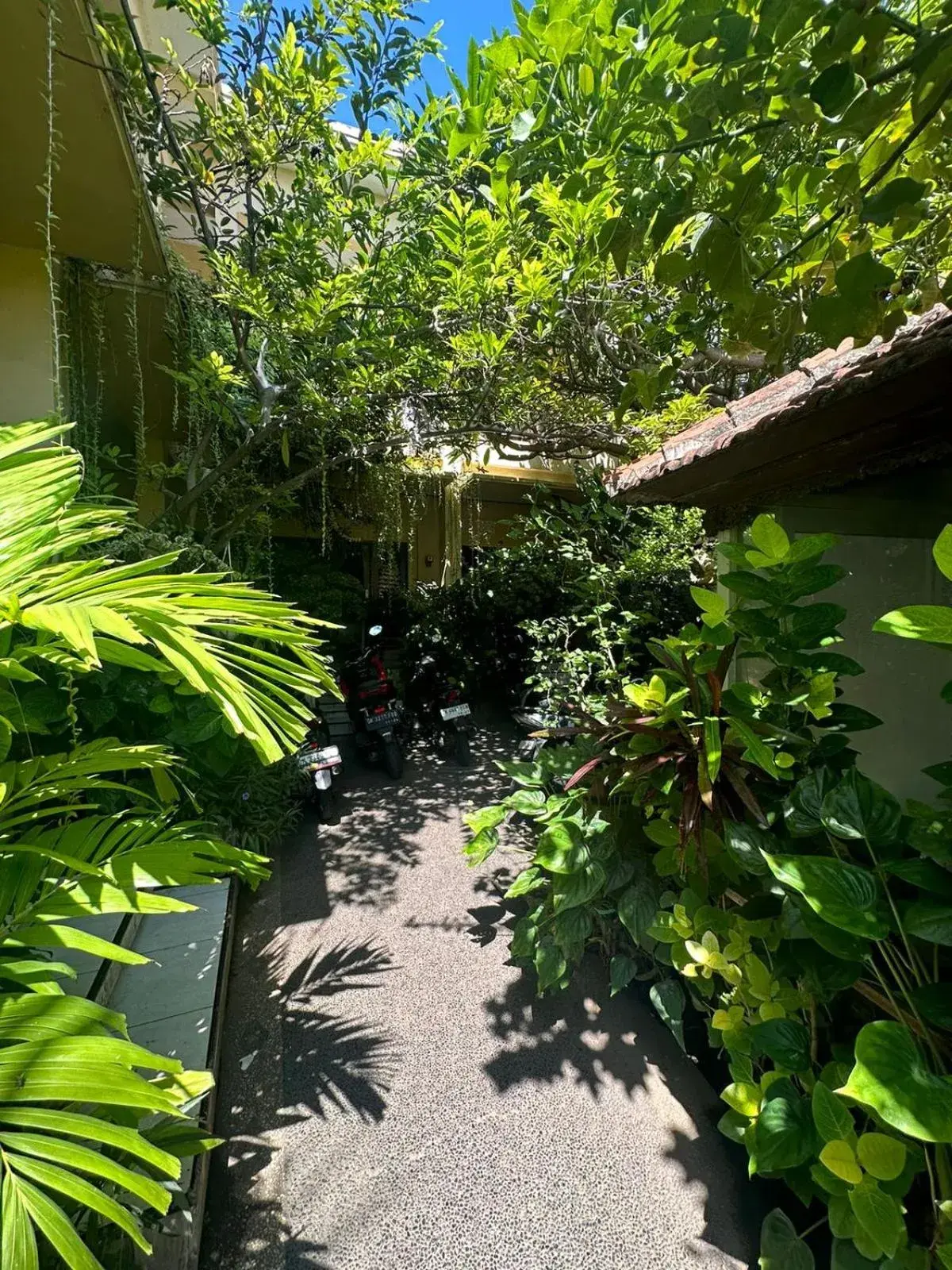 Sari Buana Bed & Breakfast Sari Buana Bed & Breakfast