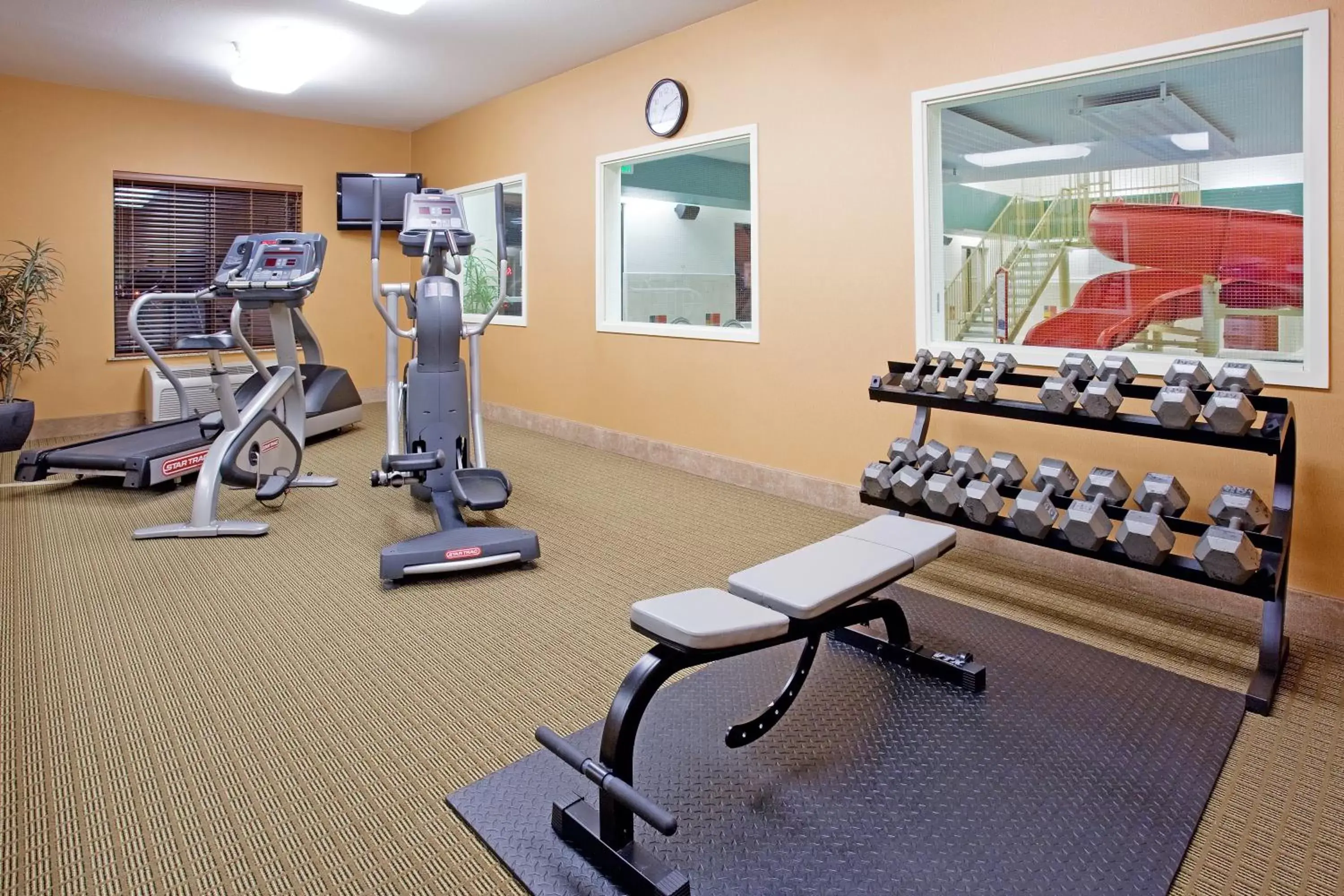 Fitness centre/facilities, Fitness Center/Facilities in Holiday Inn Express Hotel & Suites Loveland, an IHG Hotel