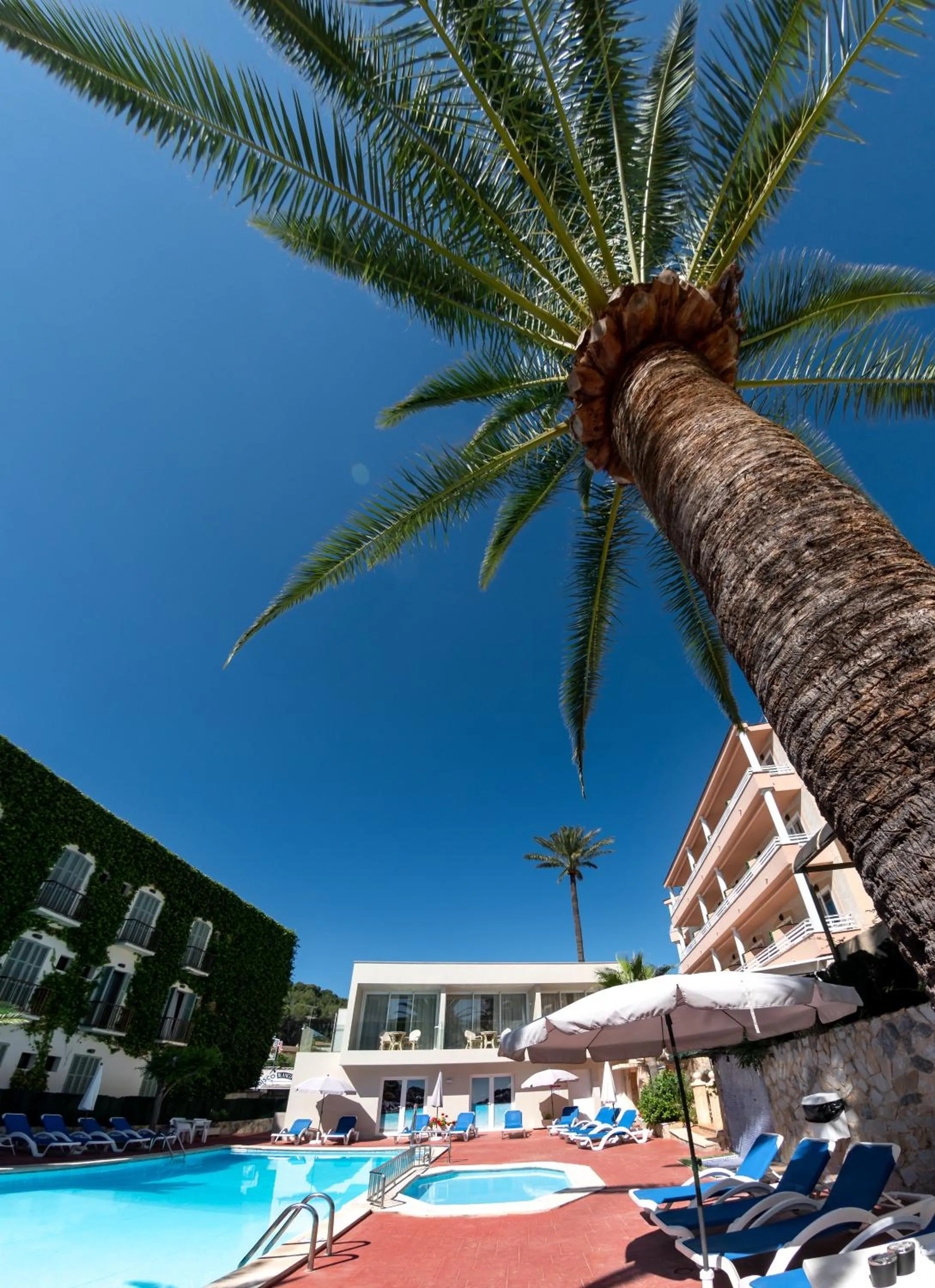 Swimming pool in Hotel Venecia Paguera