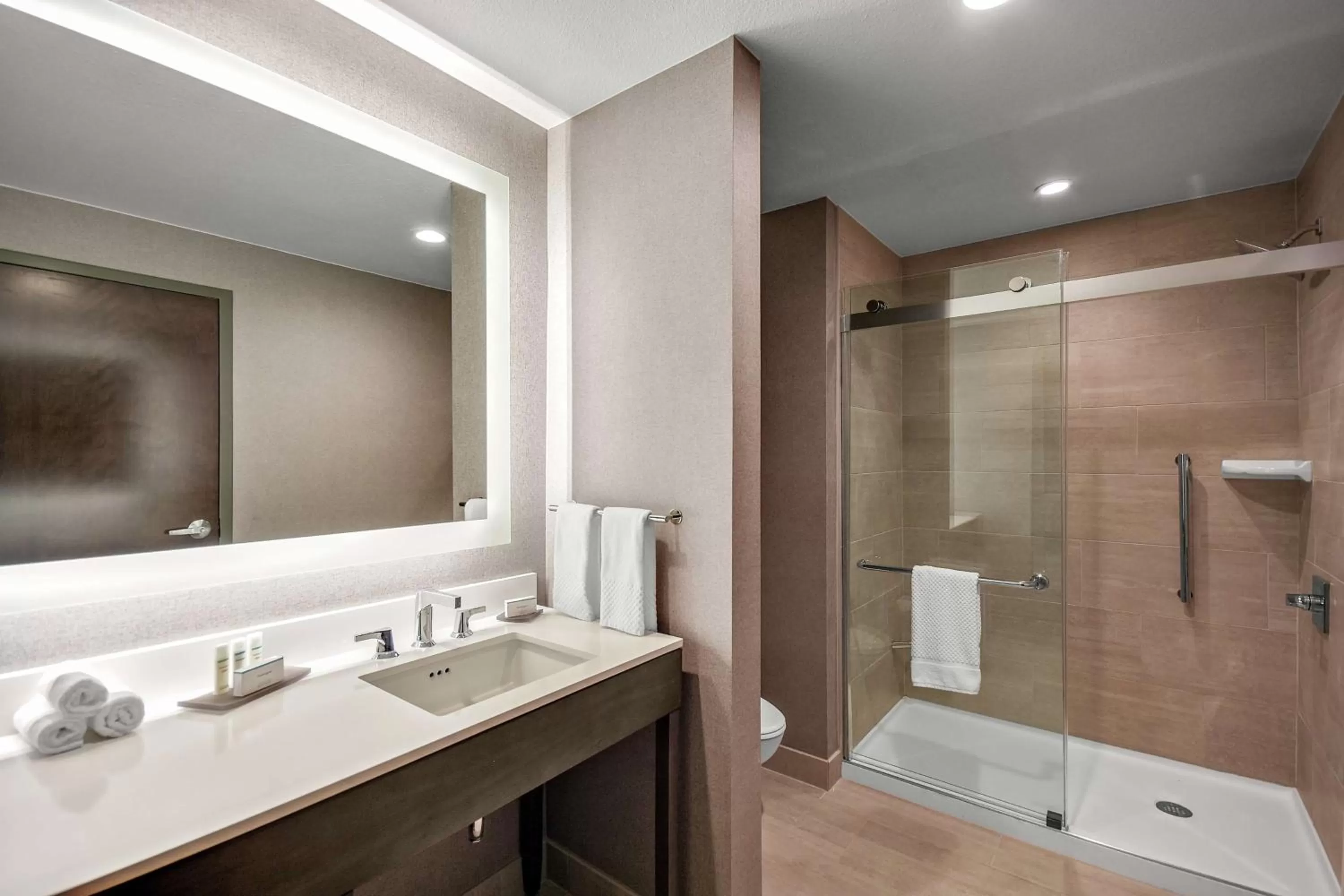 Bathroom in Embassy Suites by Hilton Jonesboro Red Wolf Convention Center