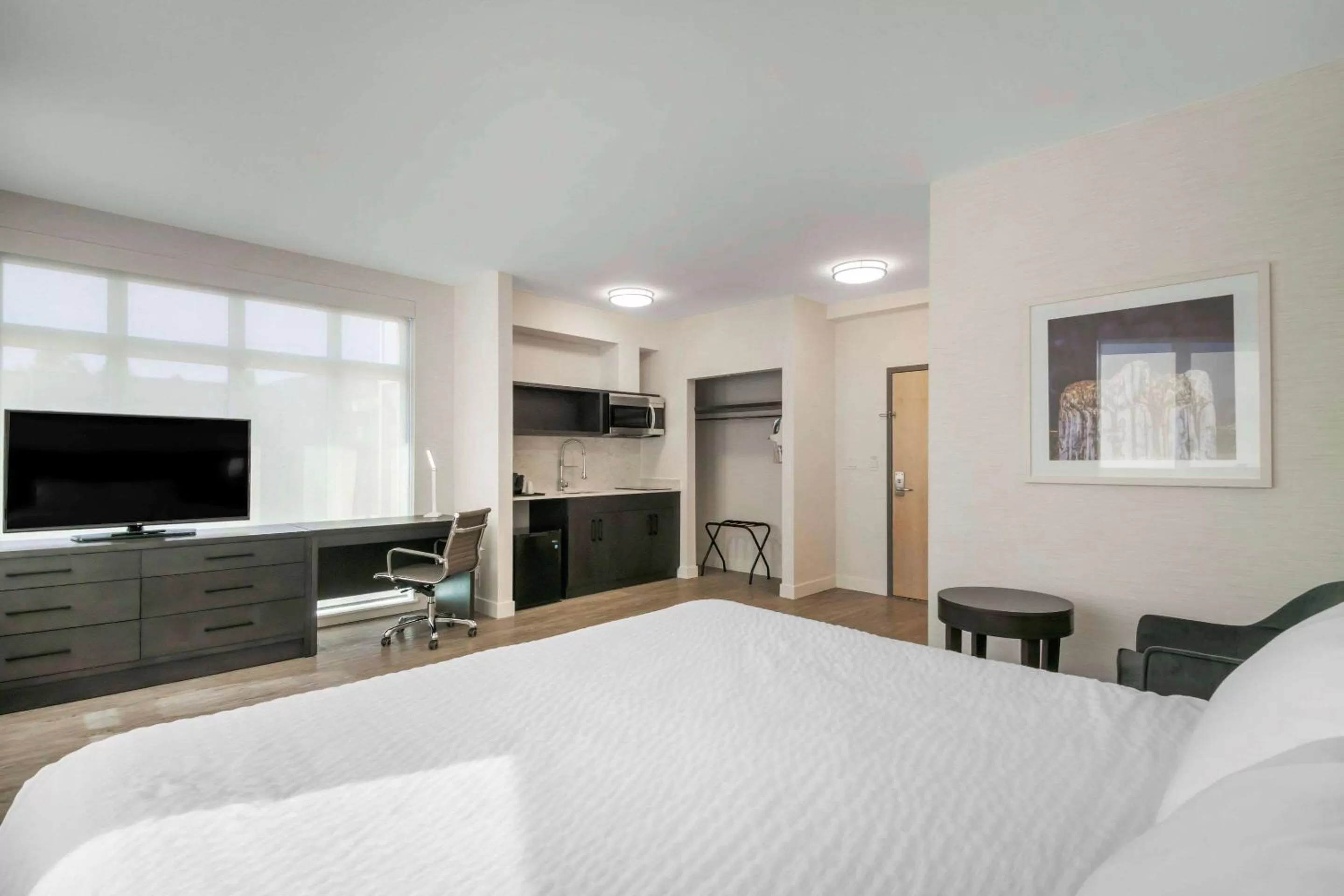 Photo of the whole room, Bed in Quality Inn