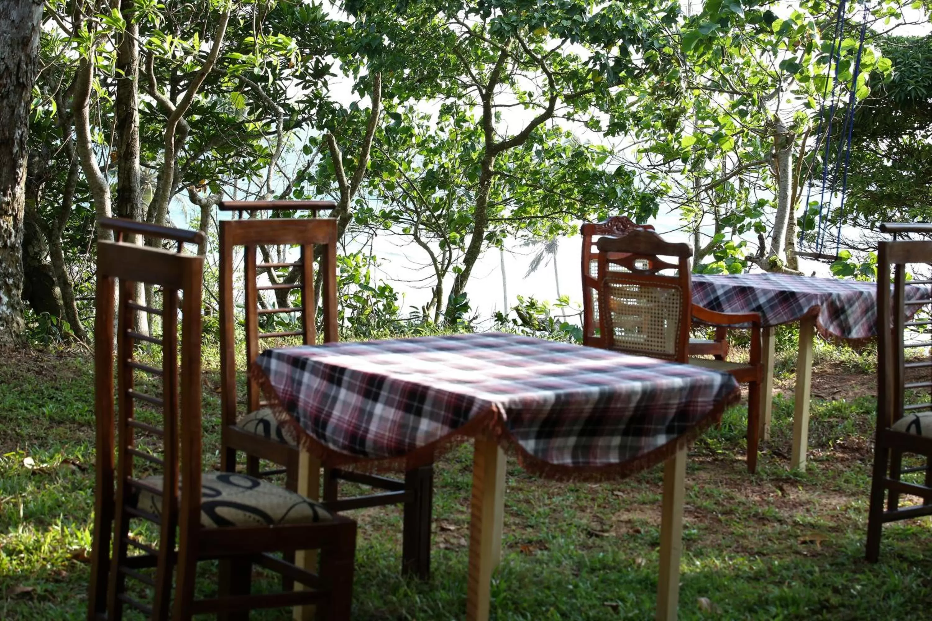 Garden view in Sky Mountain Café with seaview