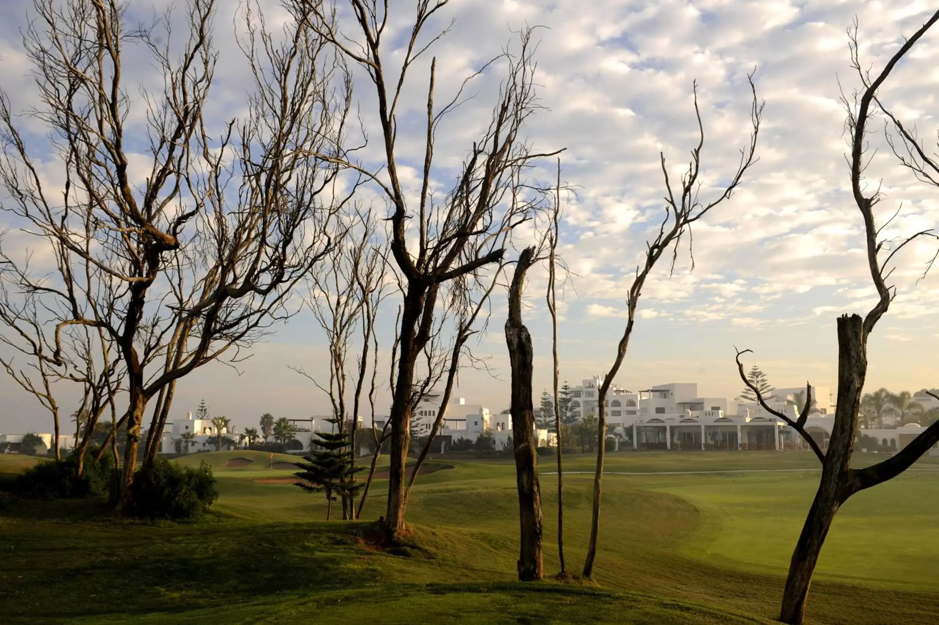 Golfcourse in Pullman Mazagan Royal Golf & Spa