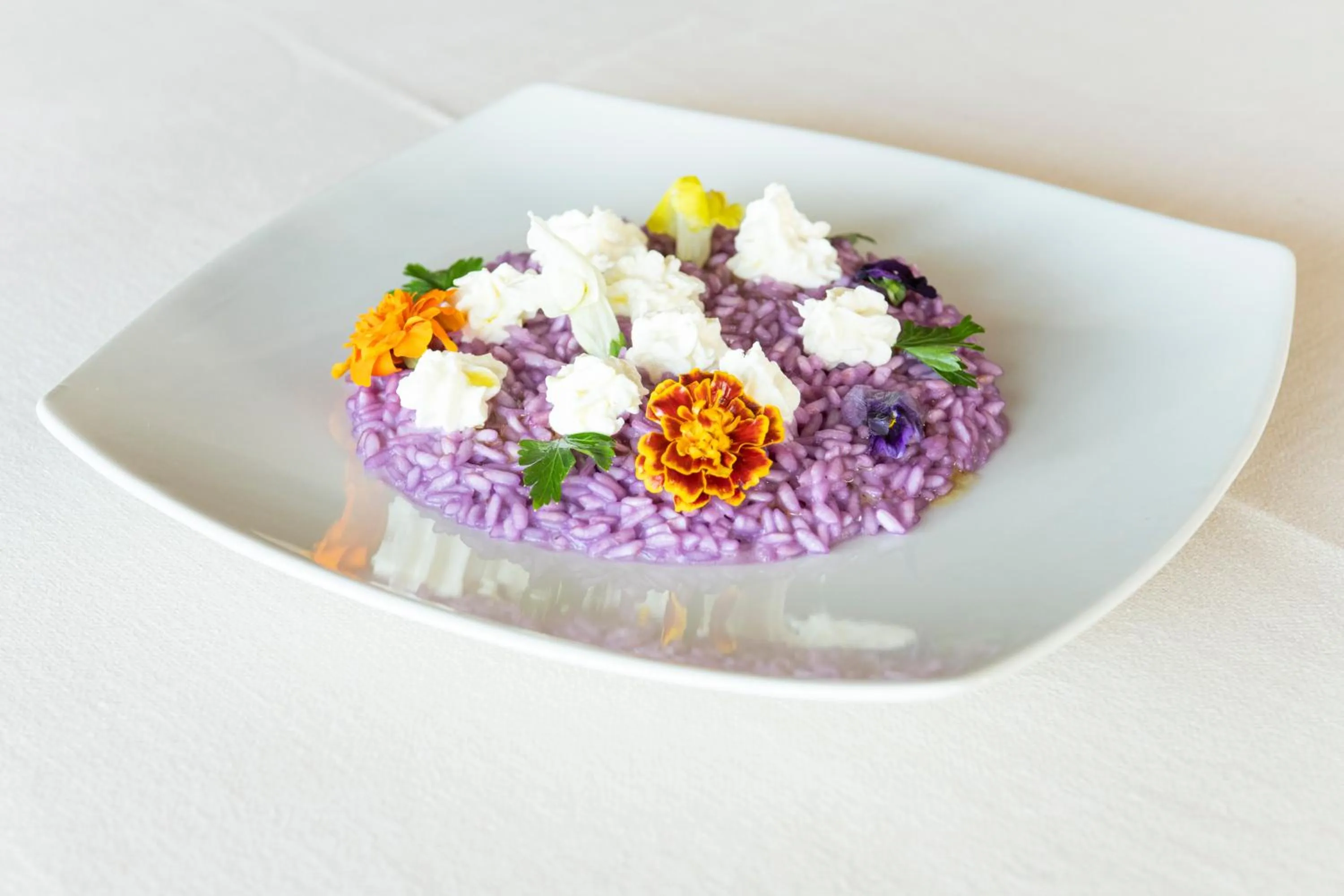 Restaurant/places to eat in Hotel L'Approdo