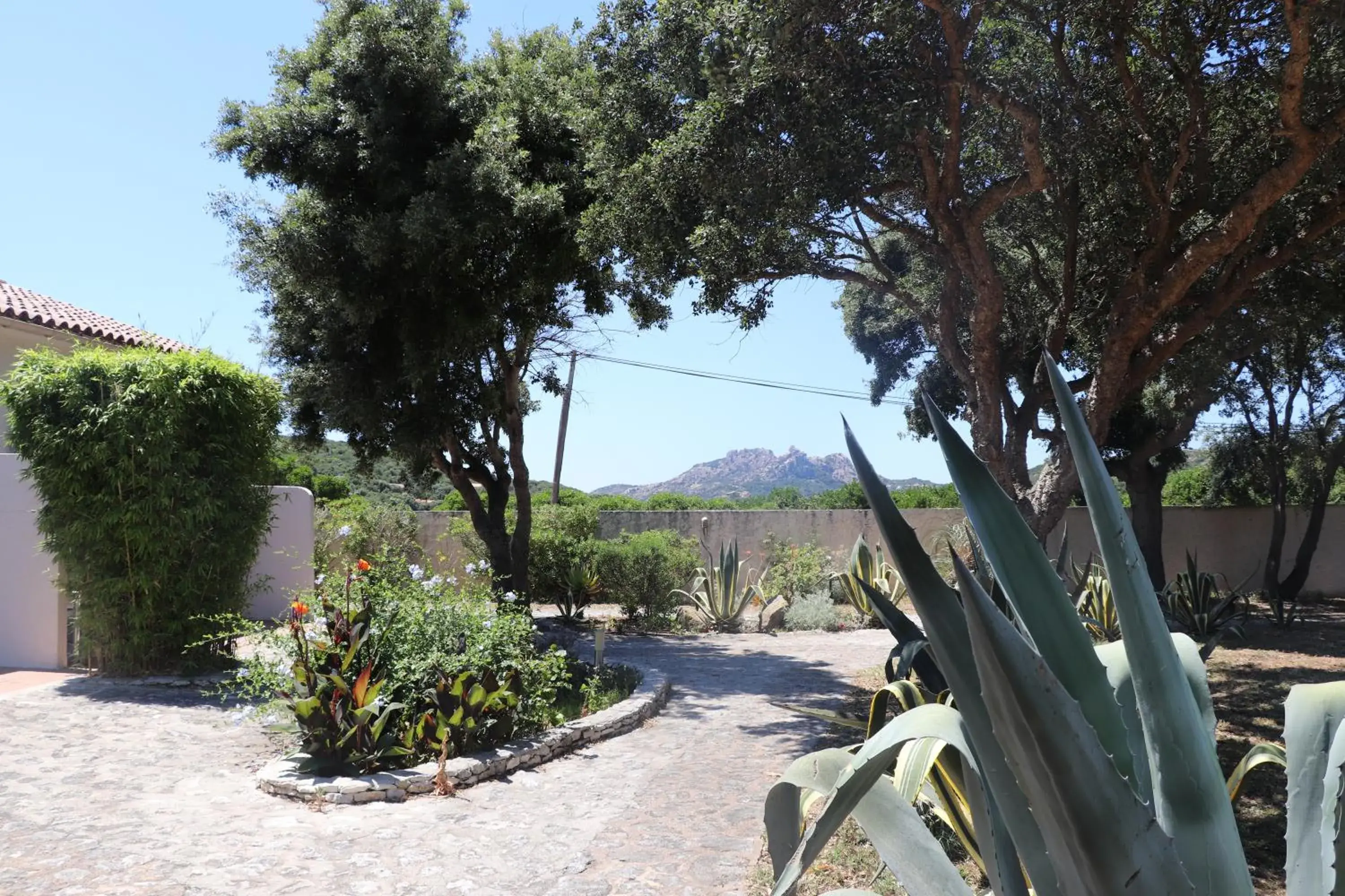 Garden in Hôtel Padolo