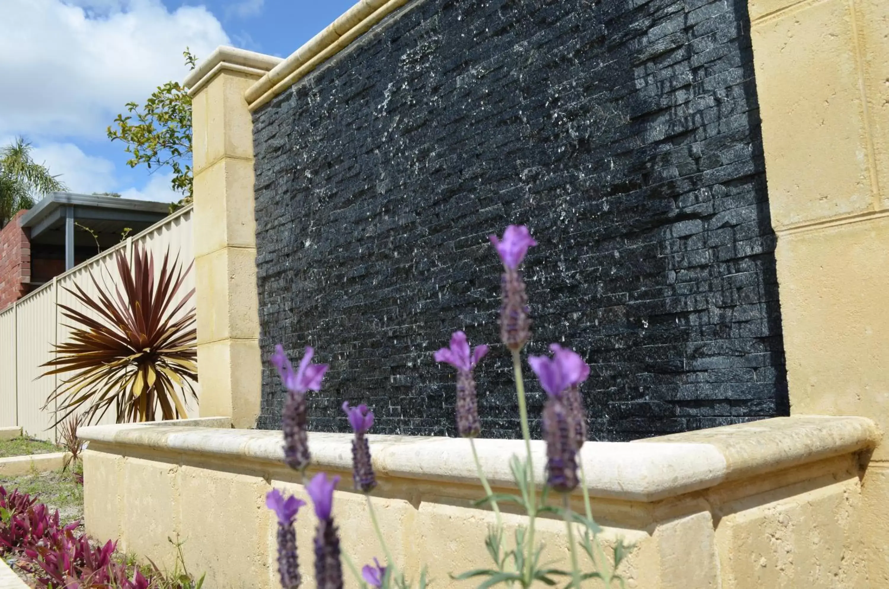 Garden view in Ellard Bed & Breakfast Garden view in Ellard Bed & Breakfast