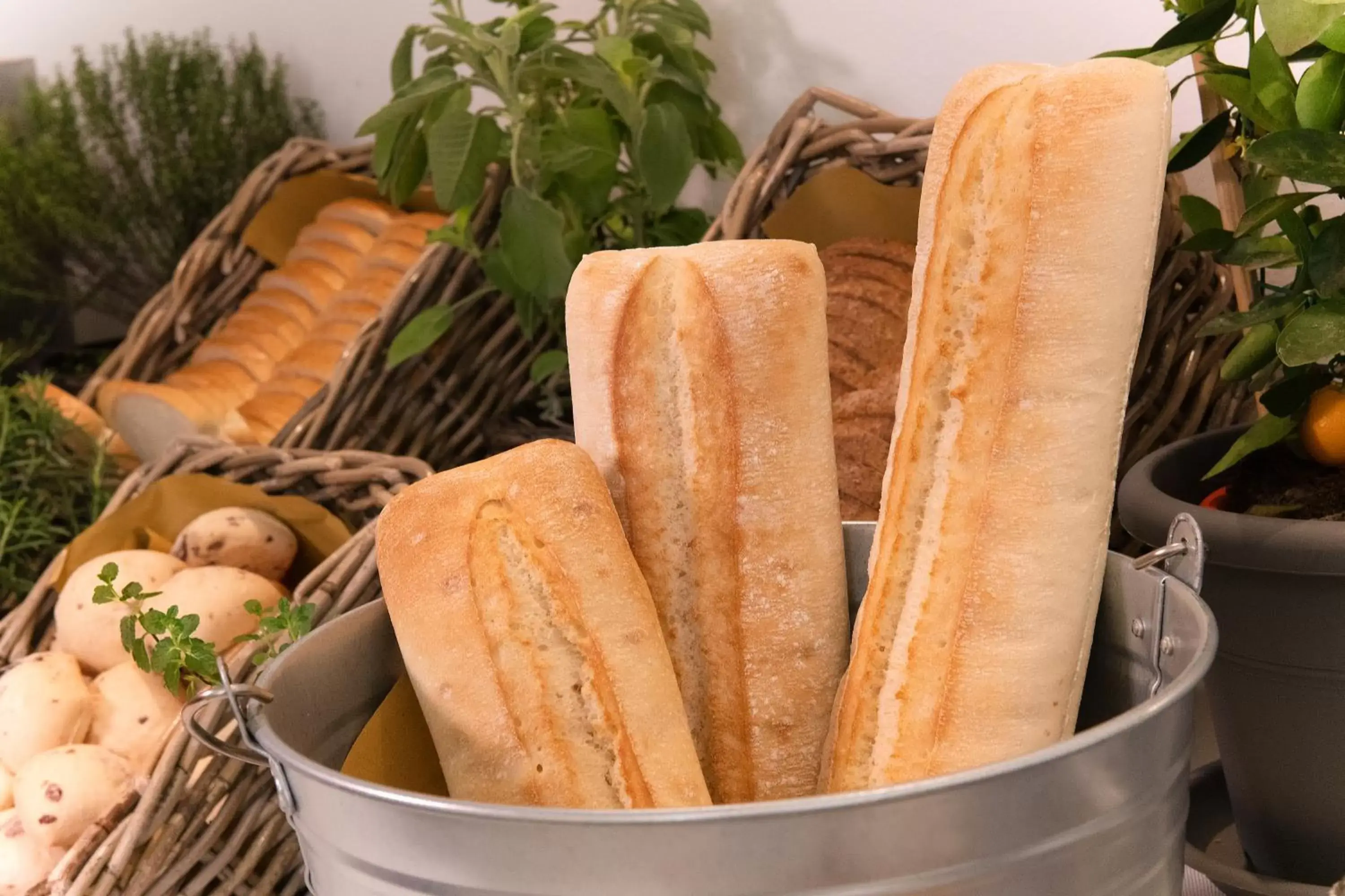 Buffet breakfast in CDH Hotel Modena Buffet breakfast in CDH Hotel Modena