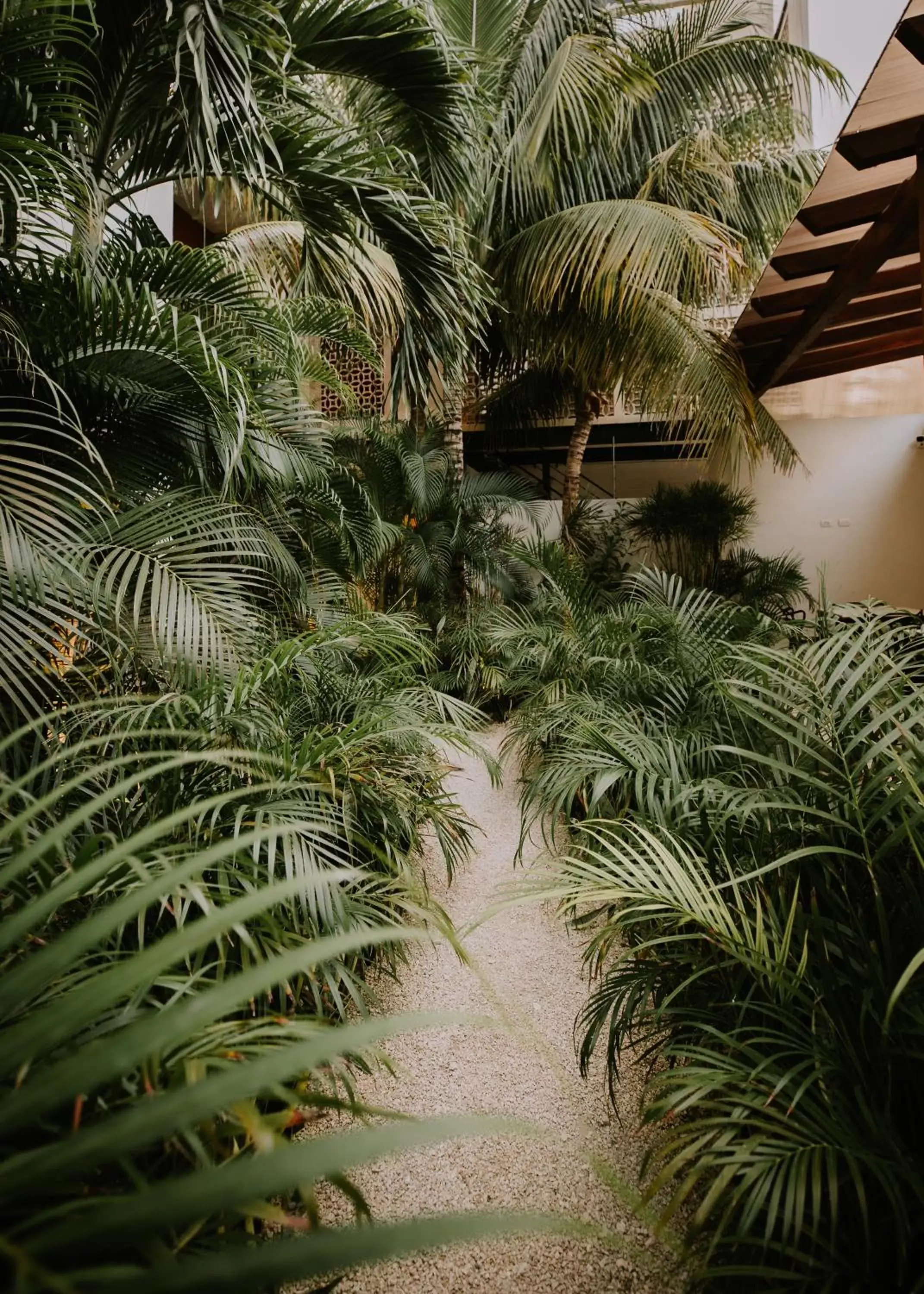 Restaurant/places to eat in The Strabon Tulum Restaurant/places to eat in The Strabon Tulum