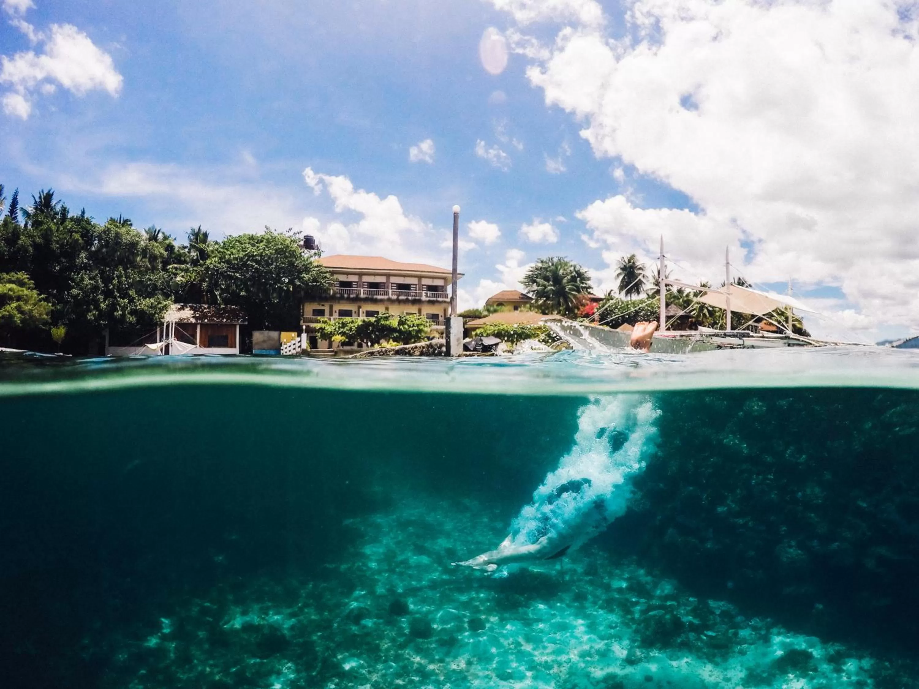 Sports in Turtle Bay Dive Resort