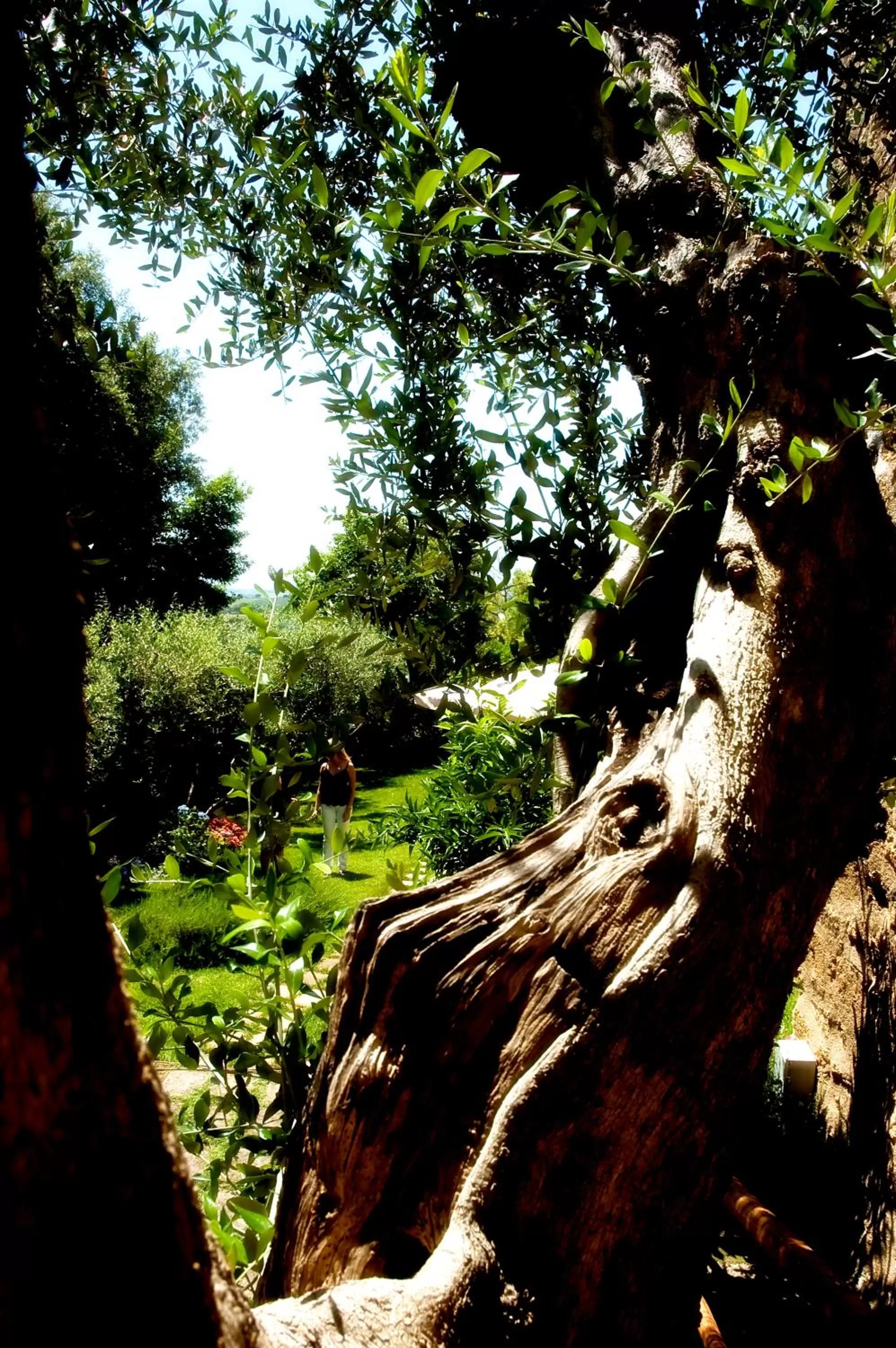 Shower in Locanda Delle Mura Anna De Croy