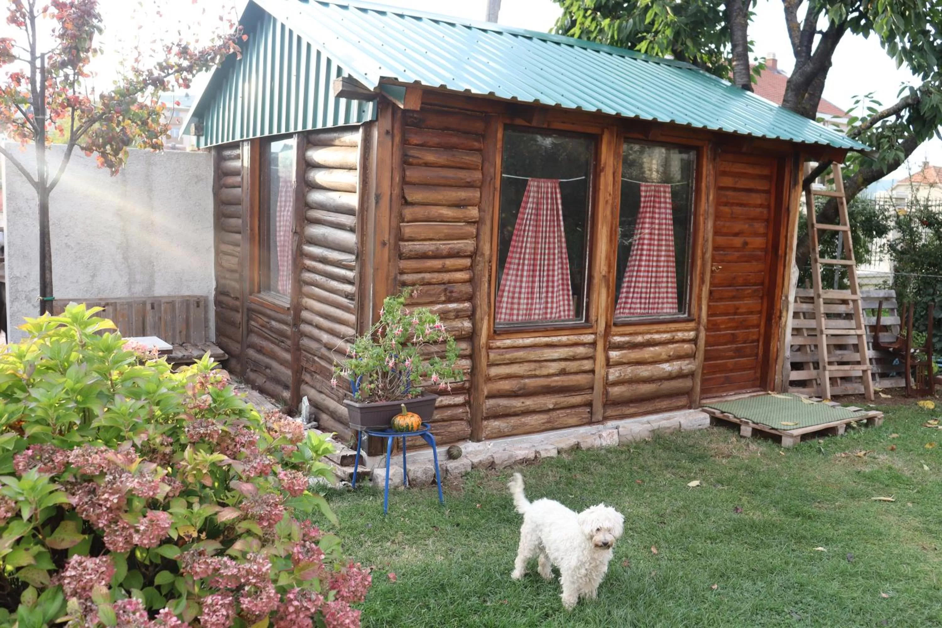 Property Building in Frile Apartments