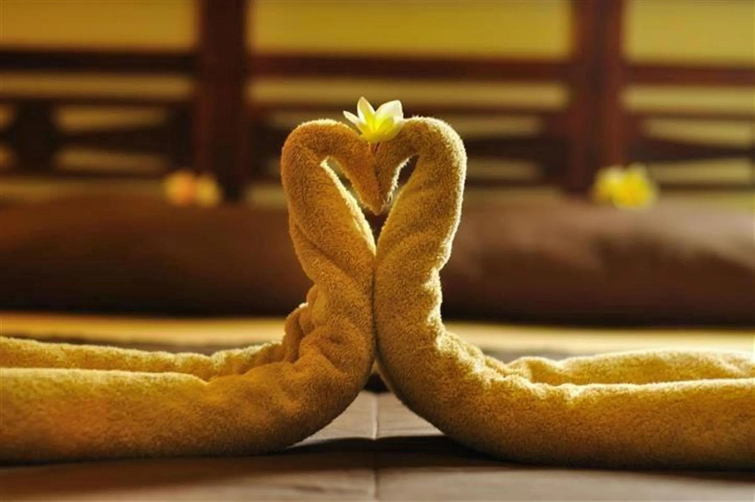 Other, Bed in Coco De Heaven House