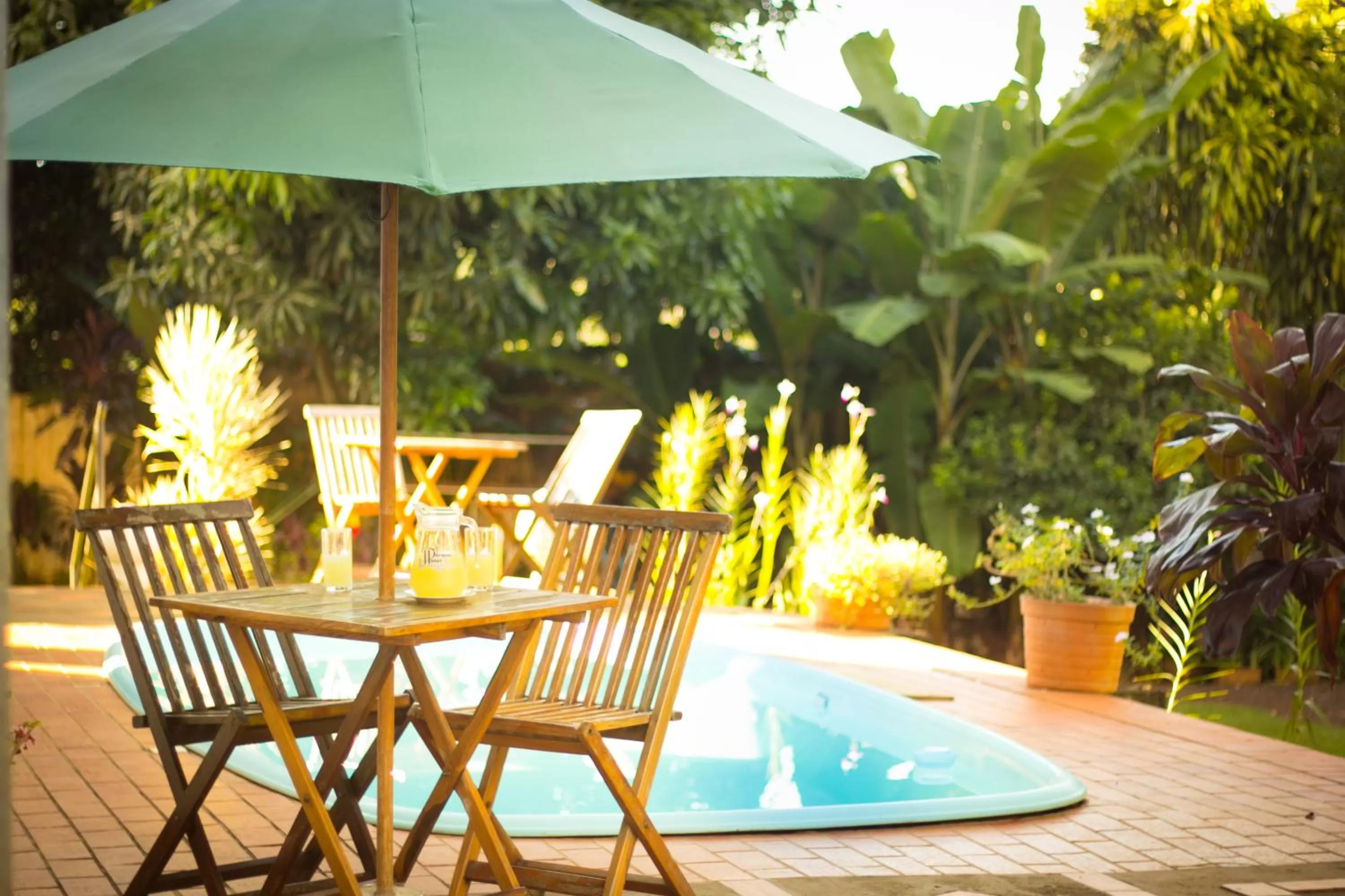 Garden in Las Orquideas Parque Hotel