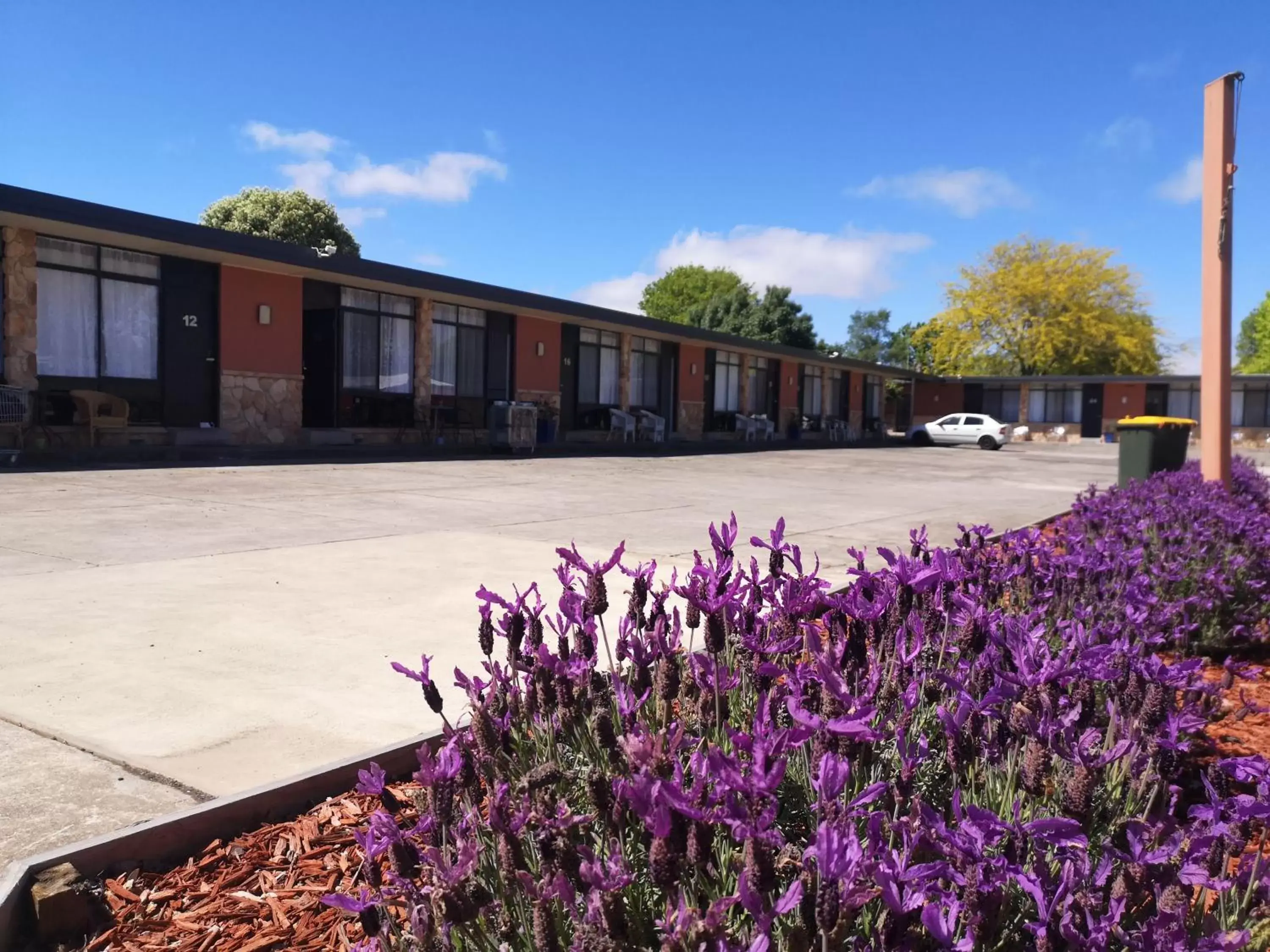 Property Building in Avenue Motel