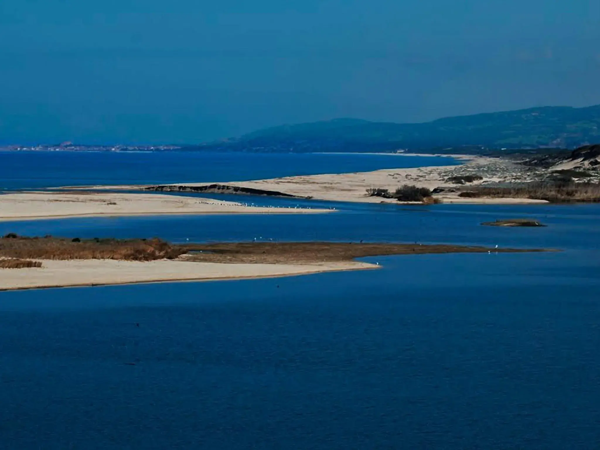 Beach in Hotel Ariadimari