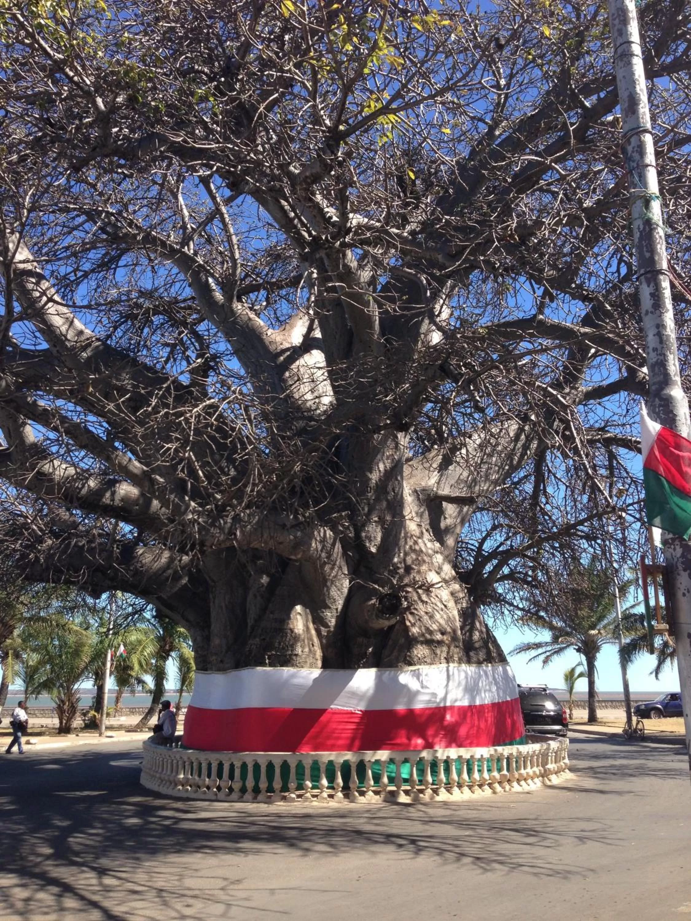 Activities in Hôtel Restaurant Coco Lodge Majunga