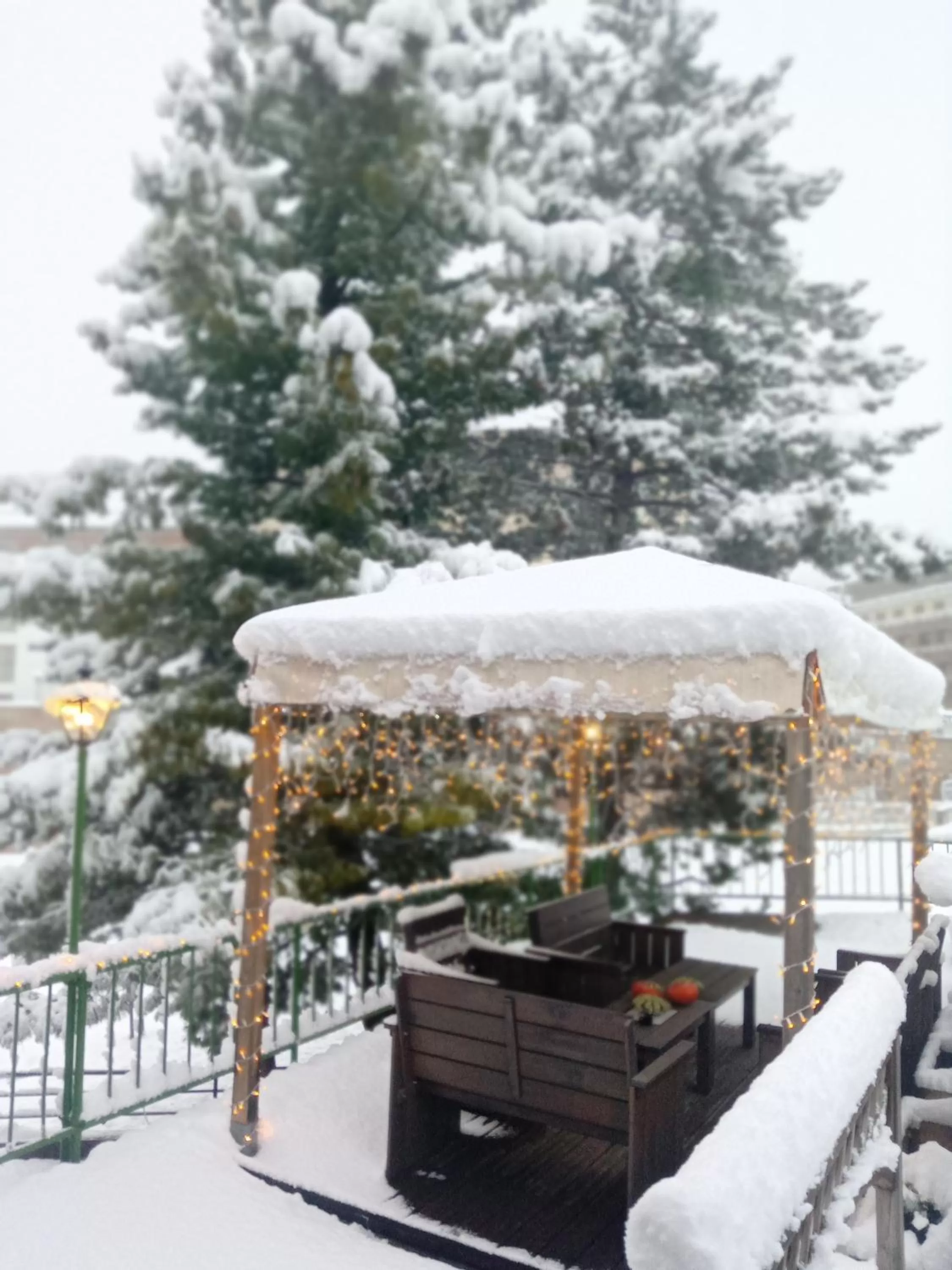 Patio, Winter in Hotel Panda Cortina- ricarica auto elettriche