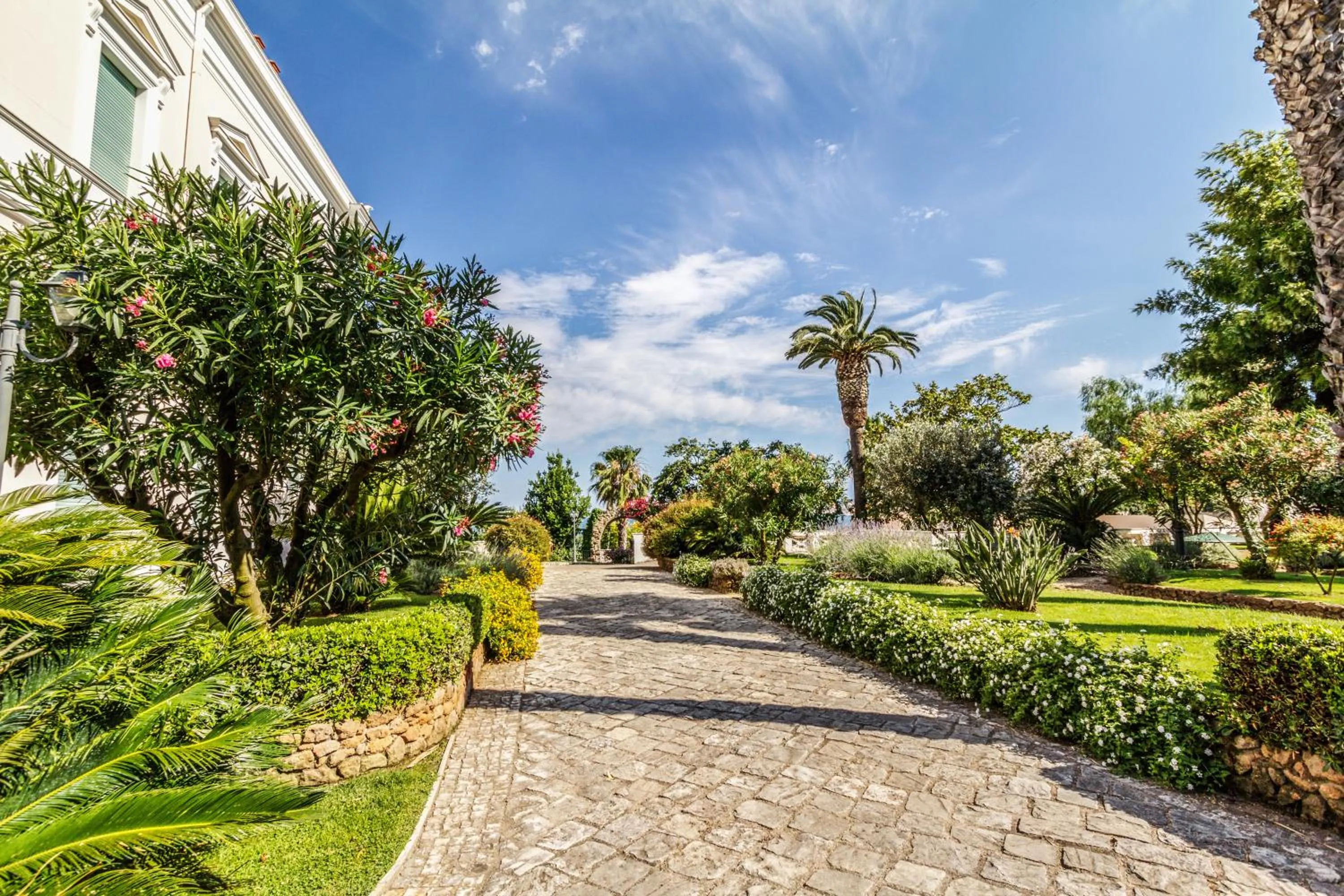 Garden view in Villa Irlanda Grand Hotel
