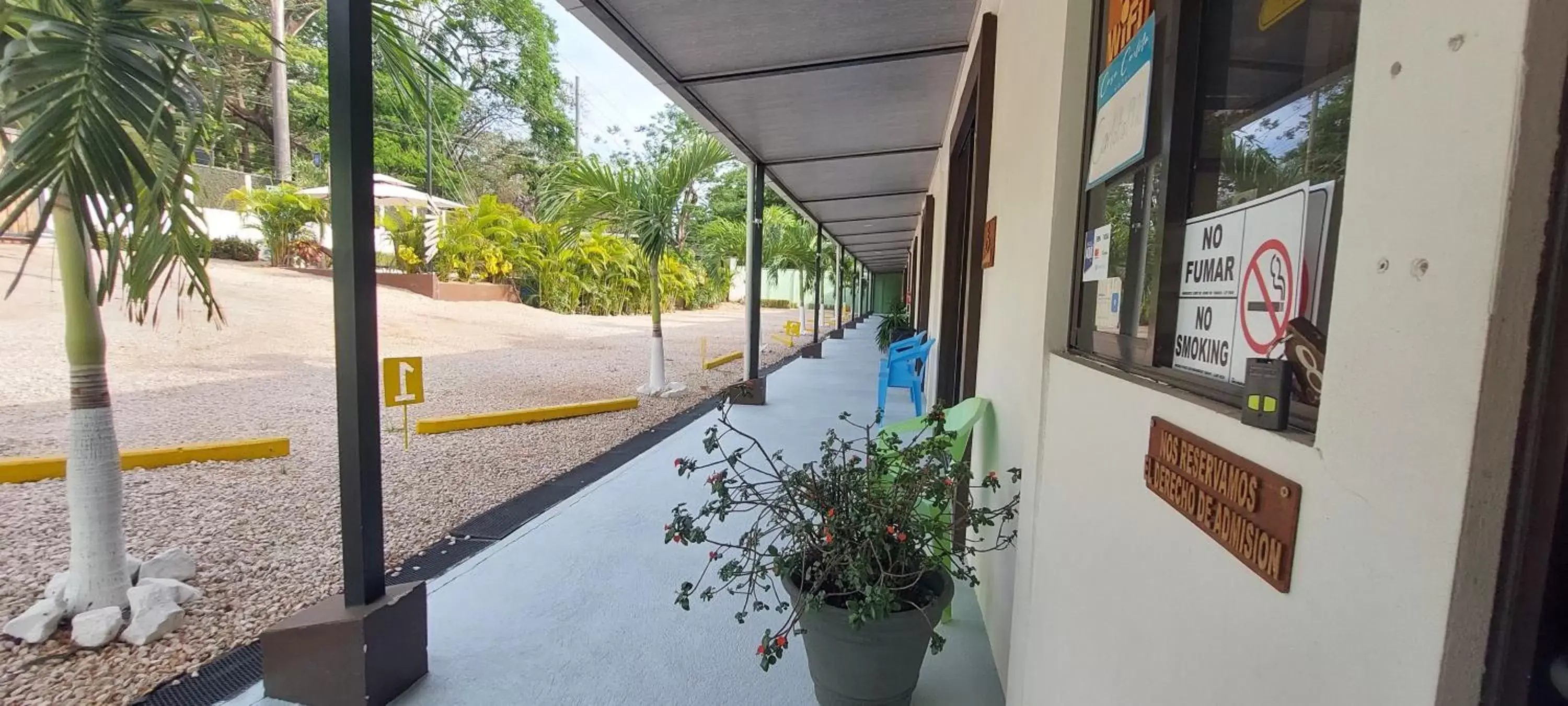 Area and facilities in Hotel Casa Carlota Tamarindo