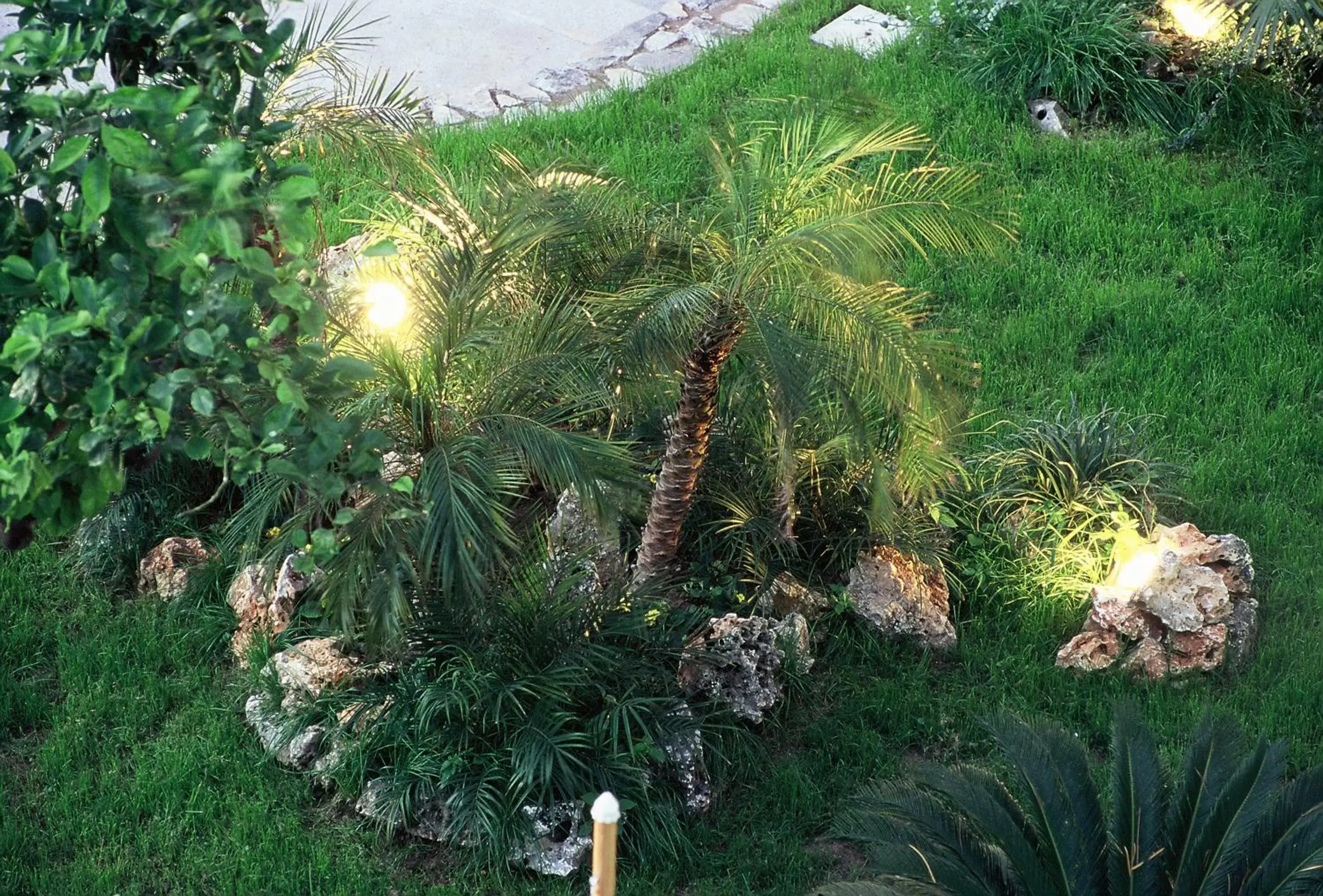 Garden in Hotel Zi' Teresa