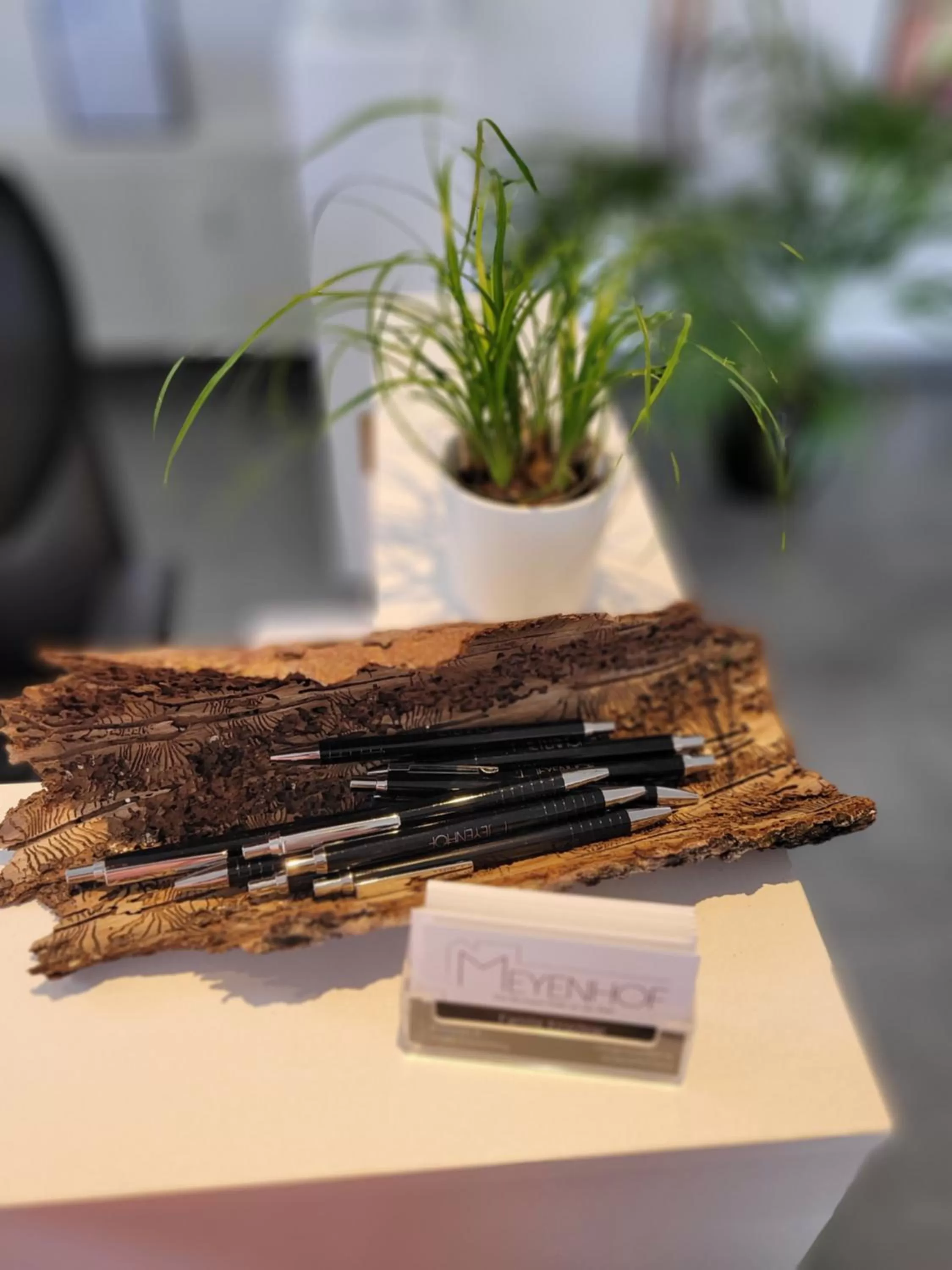 Lobby or reception in Hotel Apartment Ferienwohnung Meyenhof Frankenberg Eder