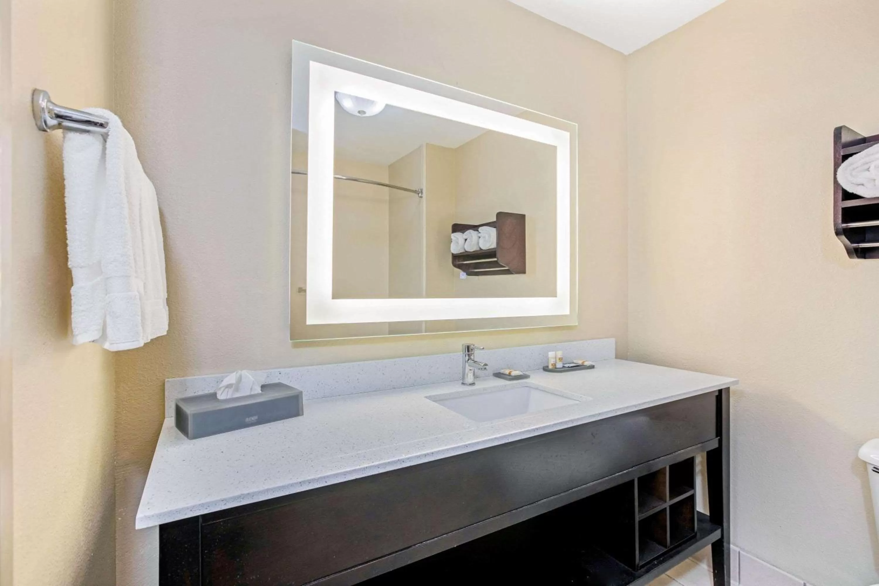 Bathroom in La Quinta by Wyndham Corpus Christi Northwest