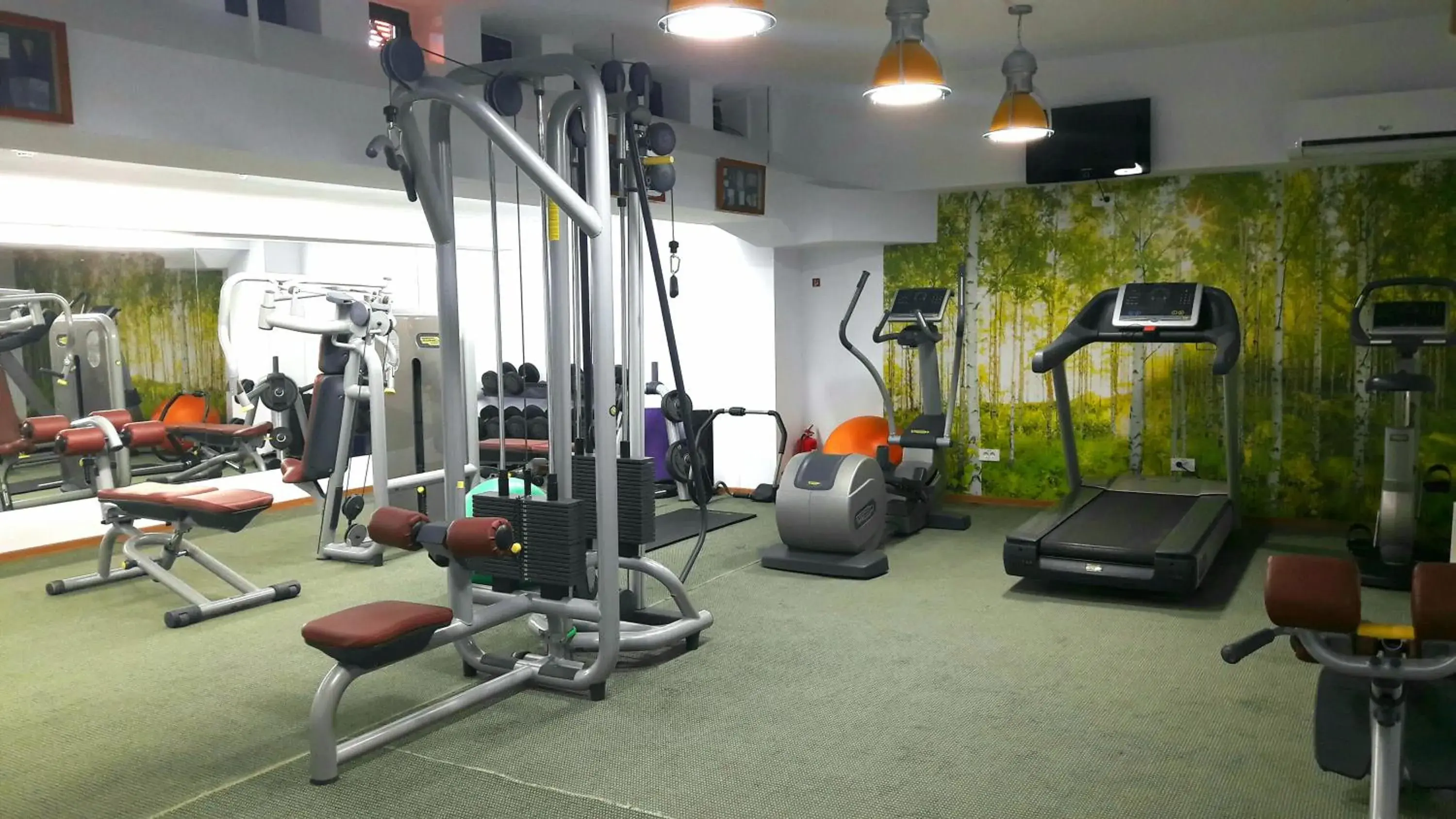 Fitness centre/facilities, Fitness Center/Facilities in Hotel Tecadra