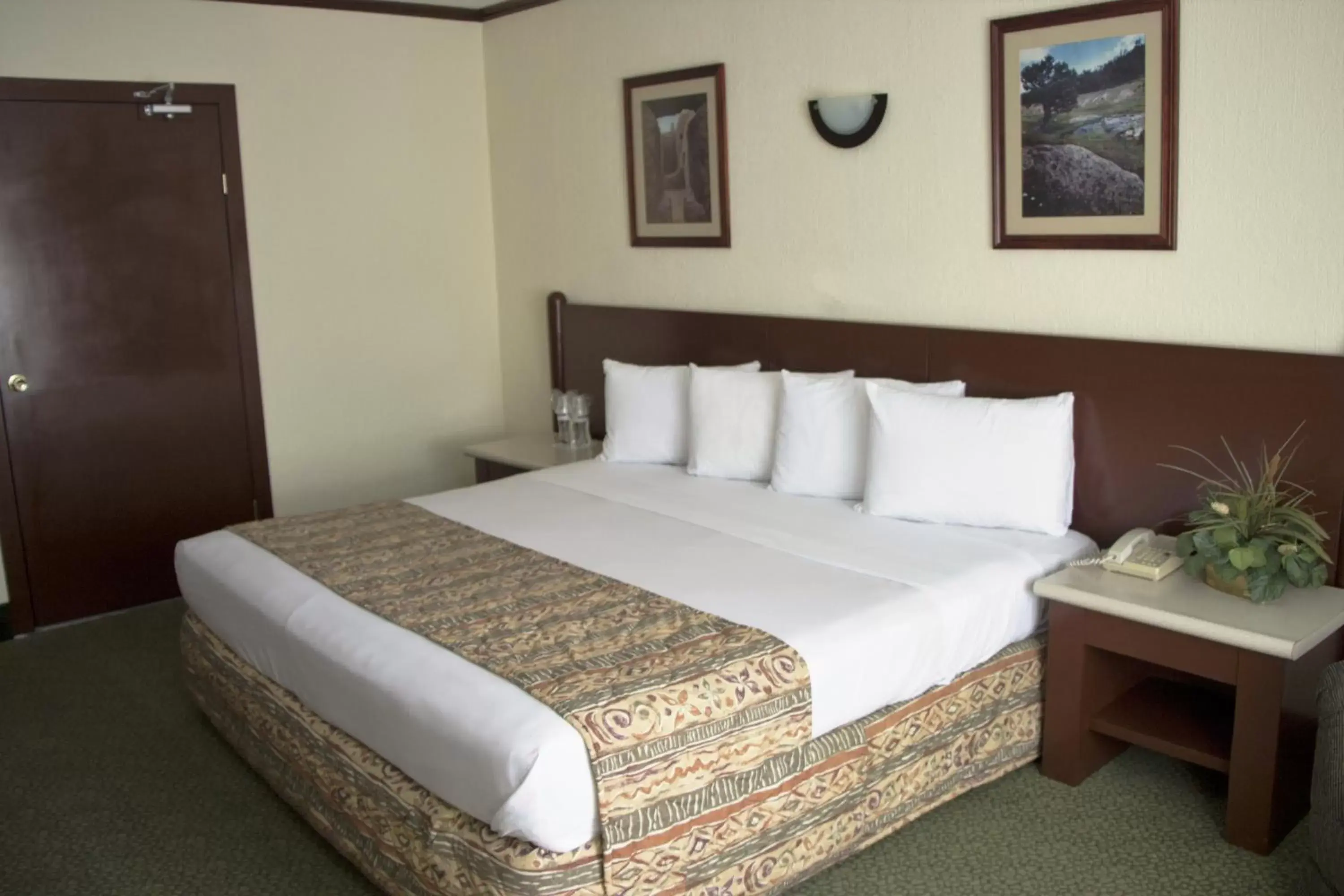 Bed in Hotel Sicomoro